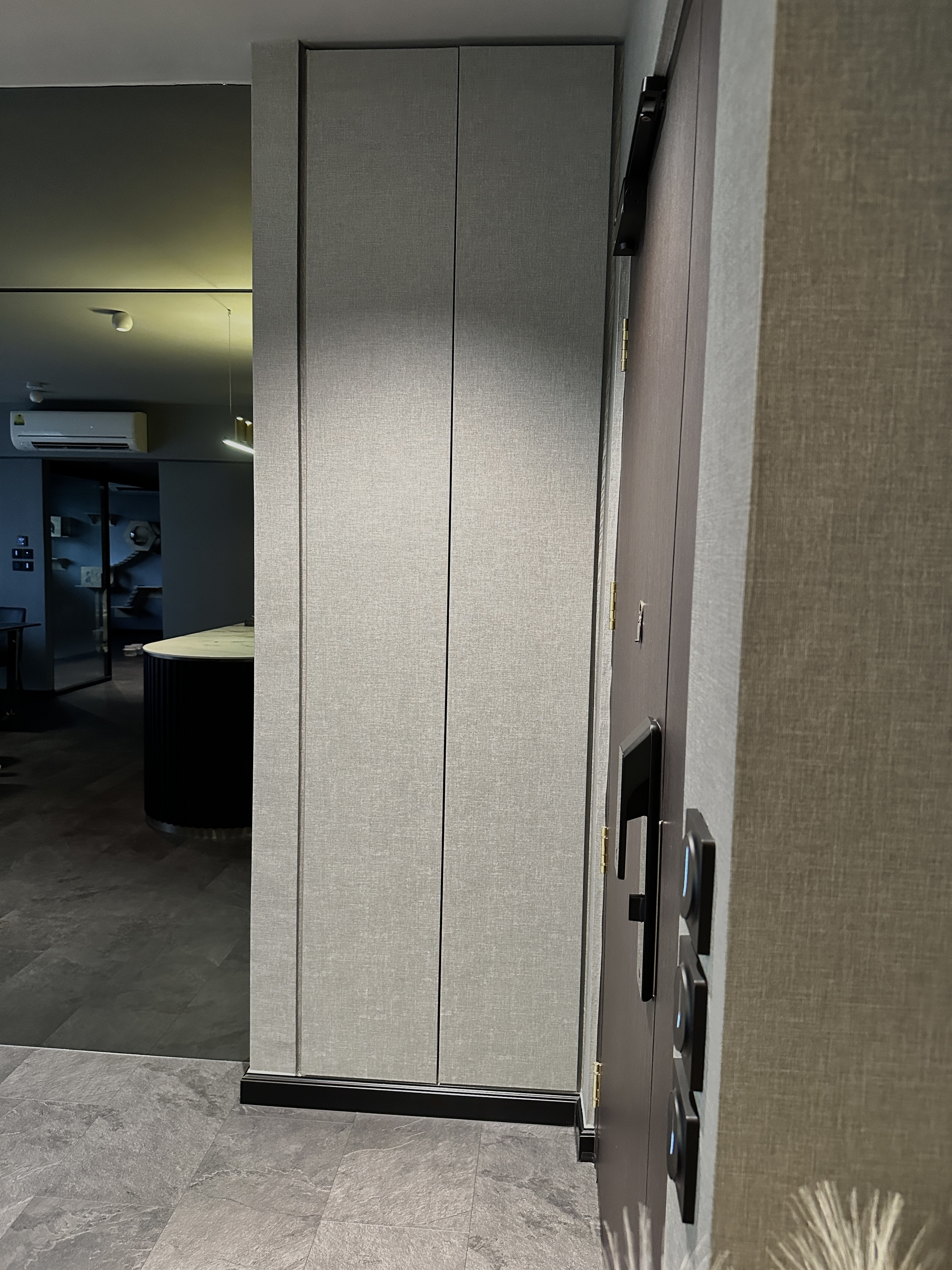 Reflective Elegance: Expanding Our Entryway - Modern minimalist wardrobe, sleek design, neutral color palette, textured