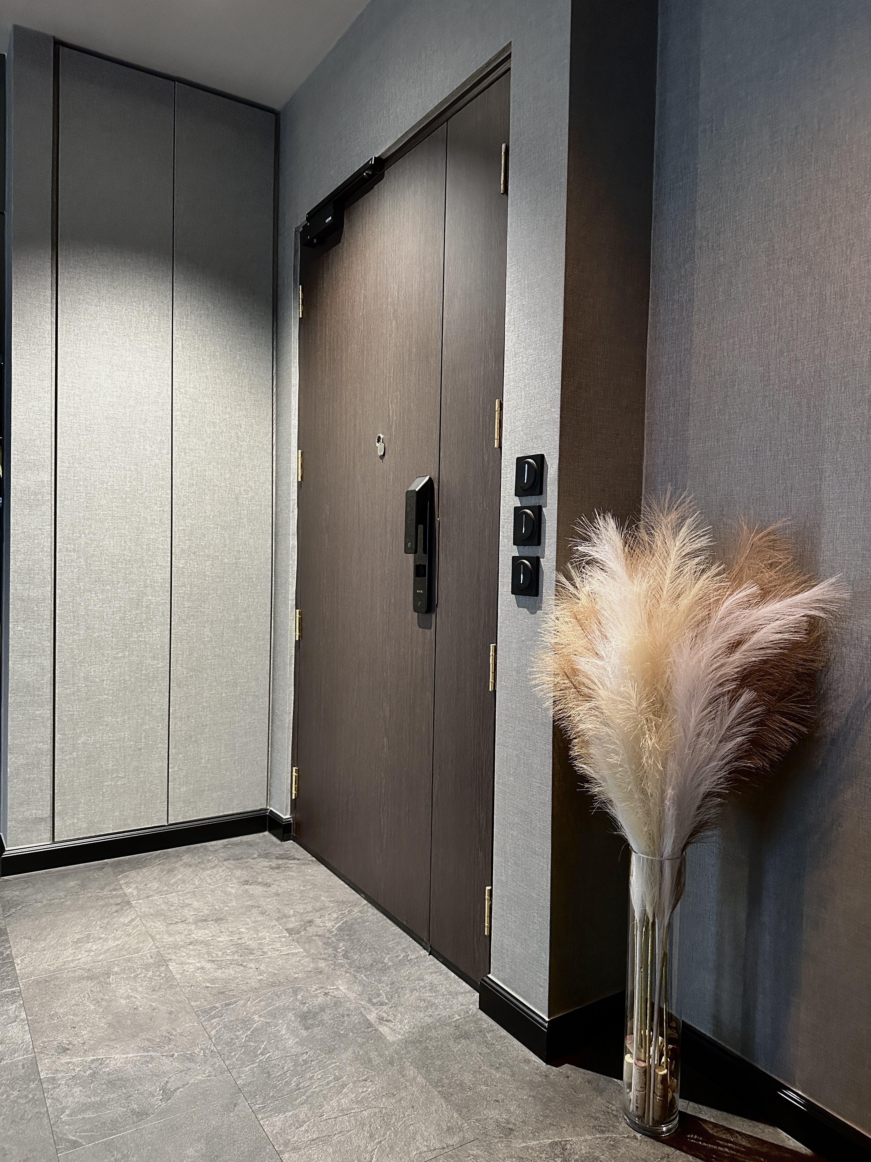 Reflective Elegance: Expanding Our Entryway - modern hallway, closed door, textured wall, elegant door, metallic handle