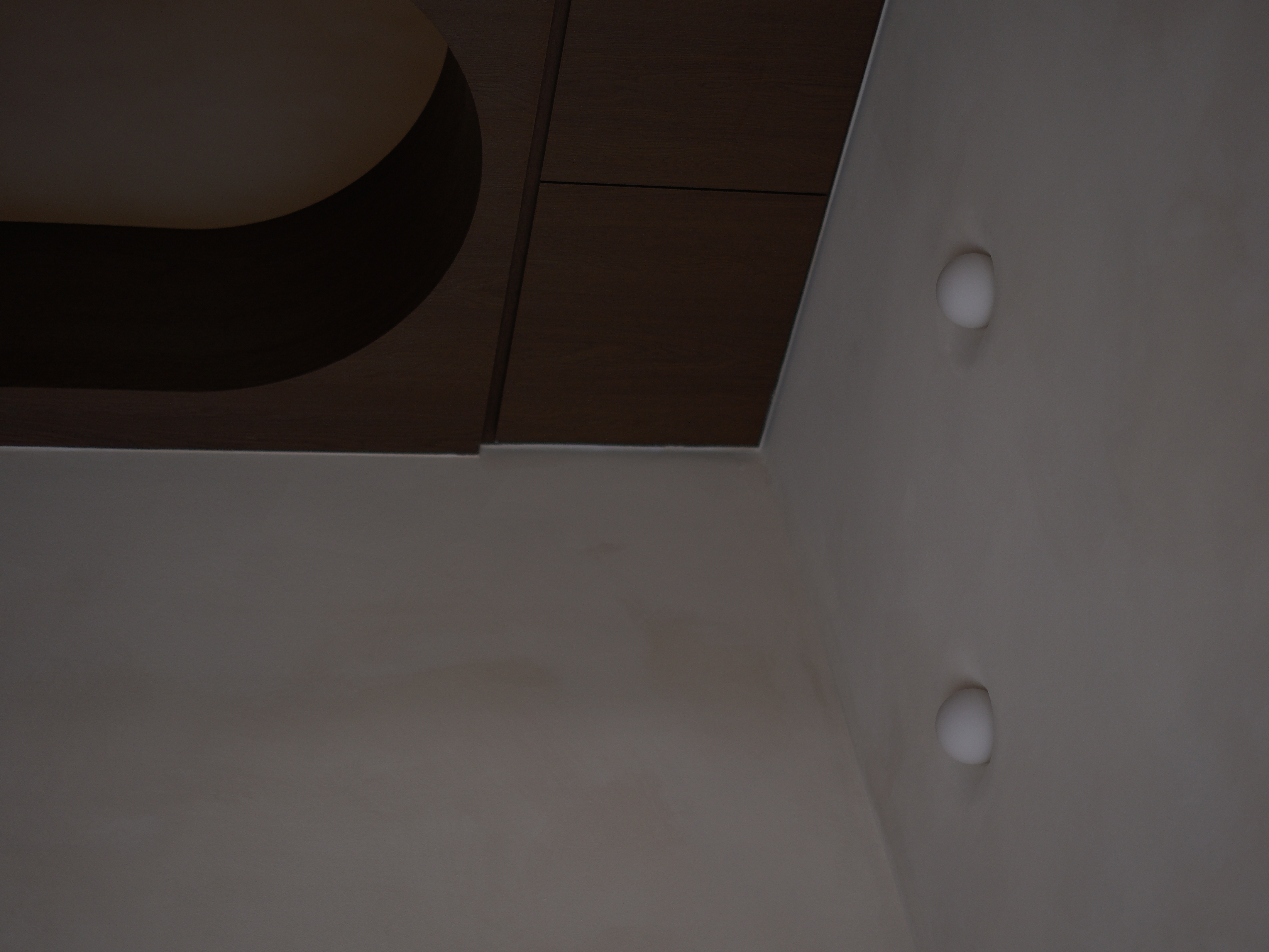 Entryway: Curves and Arches in Our Full-Height Partition - modern minimalist interior, dark wooden cabinets, sleek design