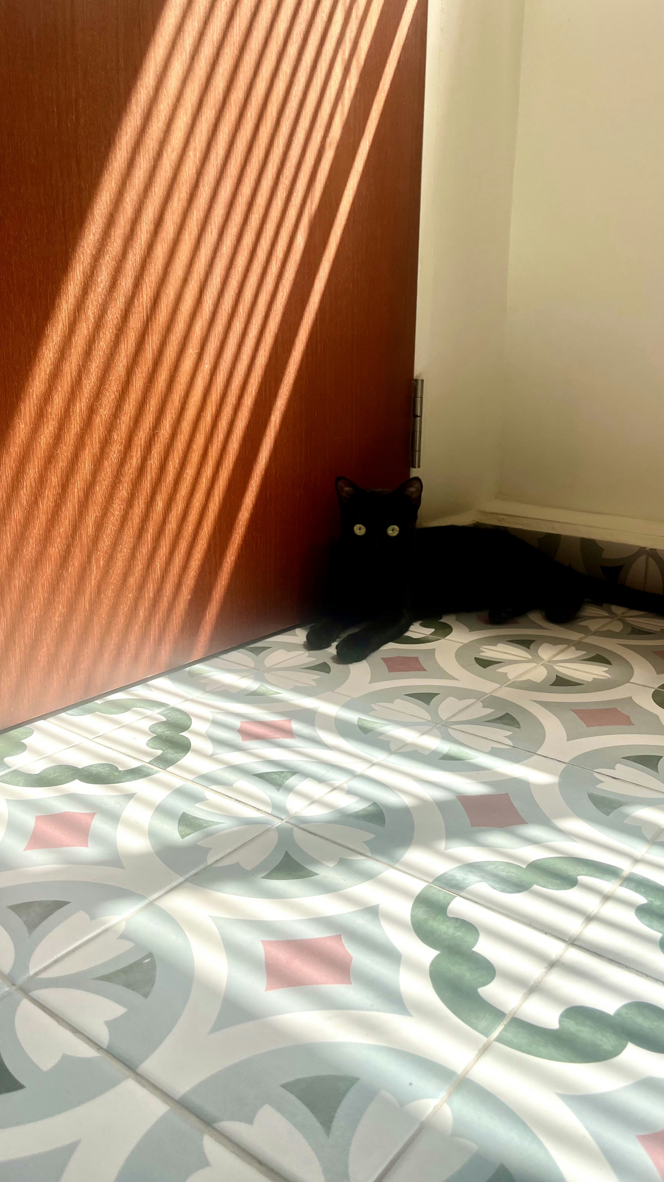 Transforming our HDB corridor into a colourful entryway - Sunlight casts intricate shadows on a wooden door, creating a