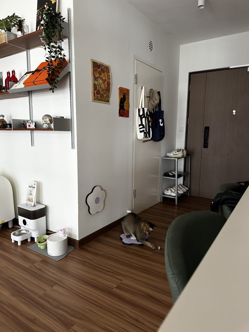 Not covering up your bomb shelter with a feature wall? No problem! - modern living room, cozy corner, wooden floor, white