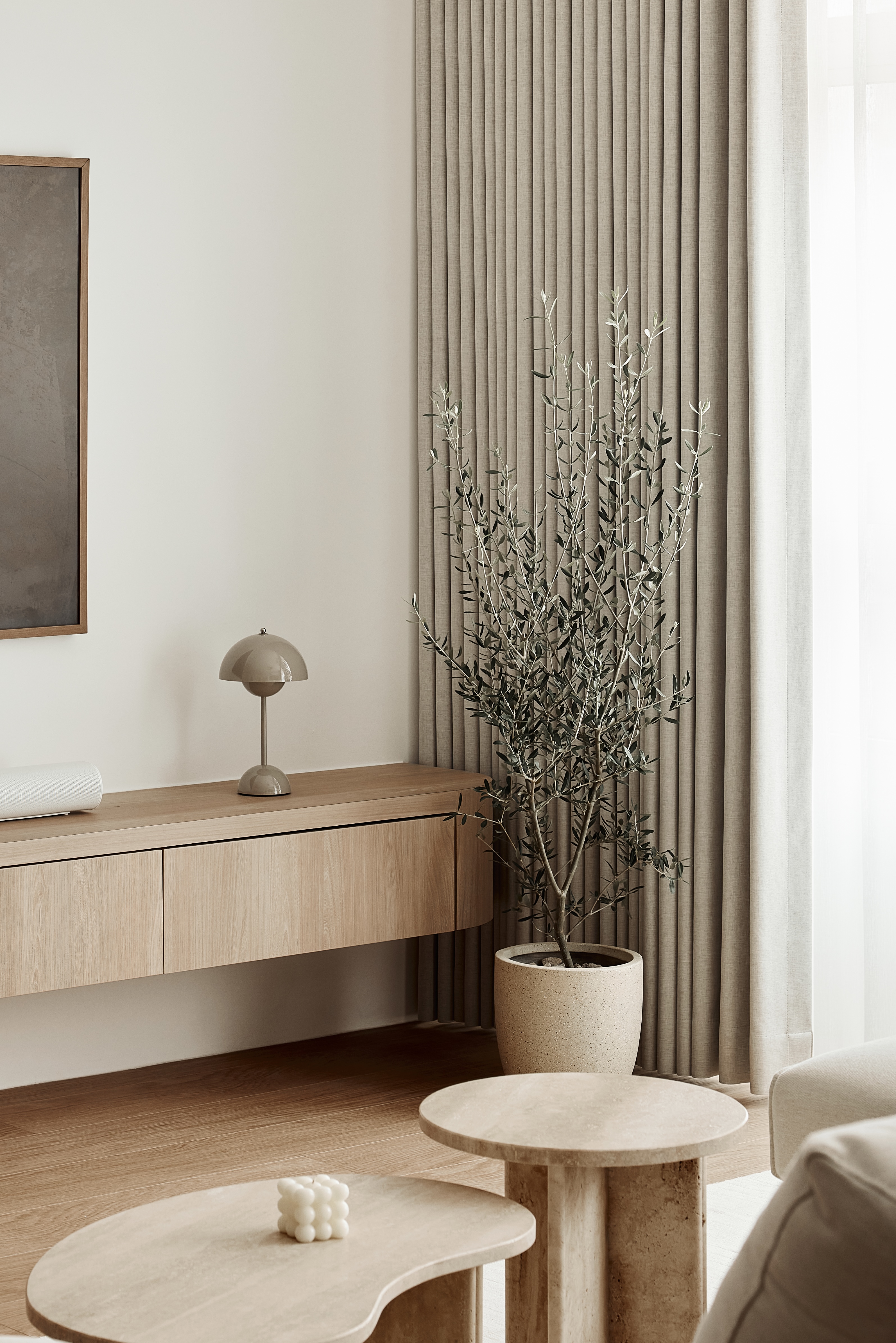 Our-Indoor-Oasis:-Bringing-Life-into-Our-Home