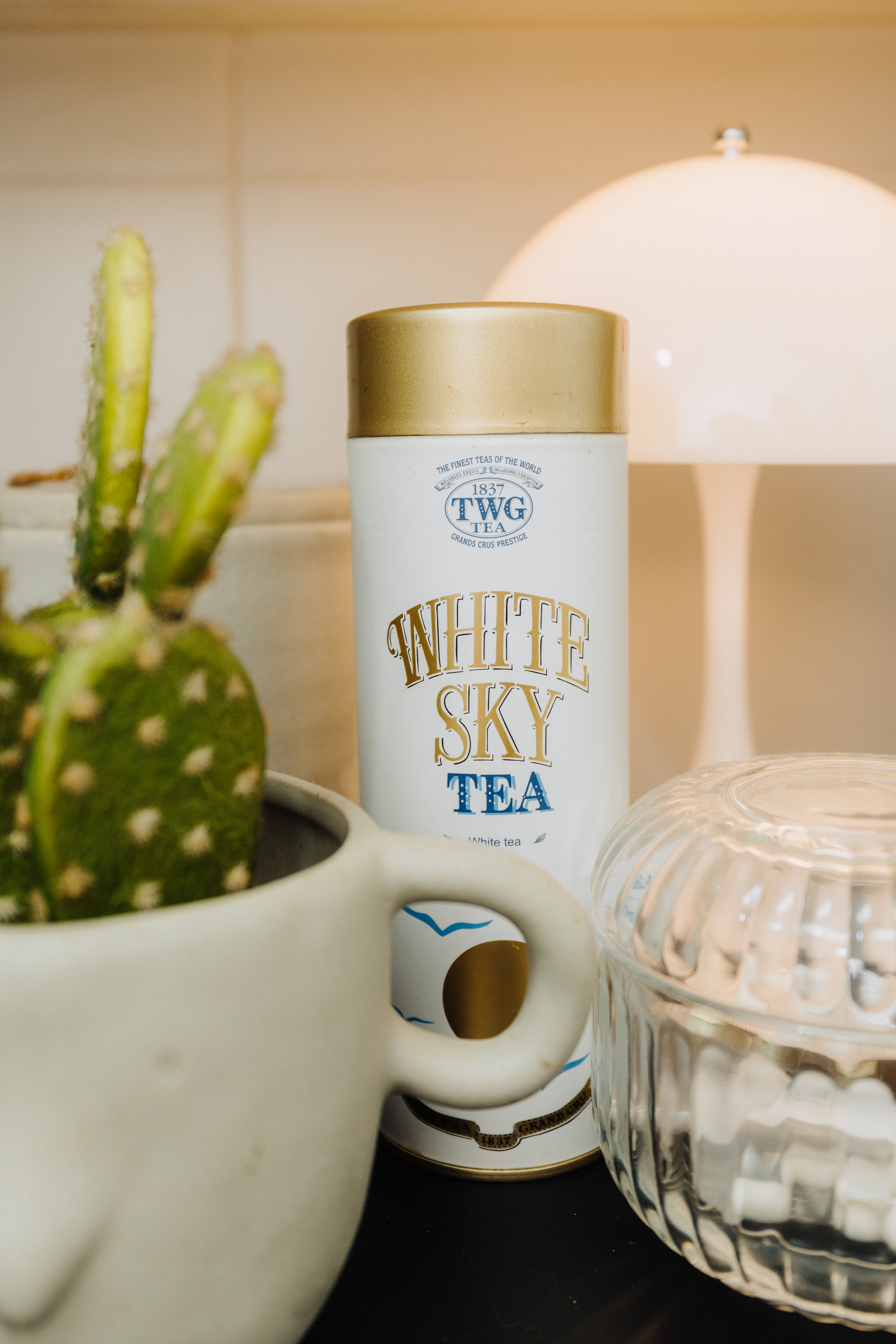 Our Standard Kitchen That Came With Our DBSS: How We Live With It - White tea, White Sky Tea, 1837 TWG Tea, Fine teas of the