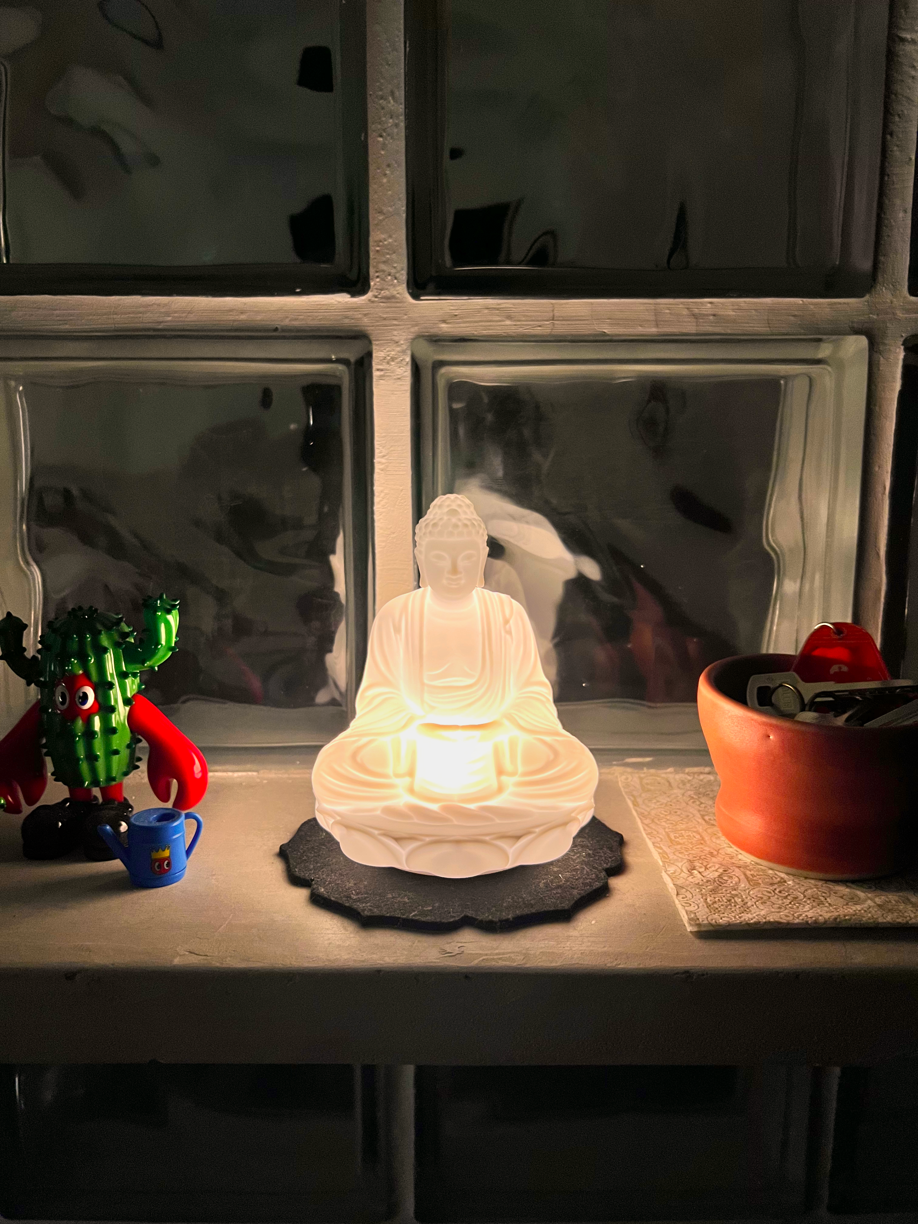 It’s-a-vibe-✨-2-monkeys-use-lights-to-create-different-ambiences-🙉🙊