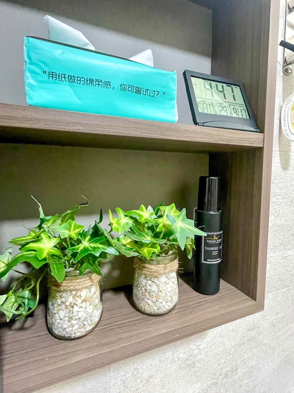 Simple-and-Calm-Minimalist-Toilet