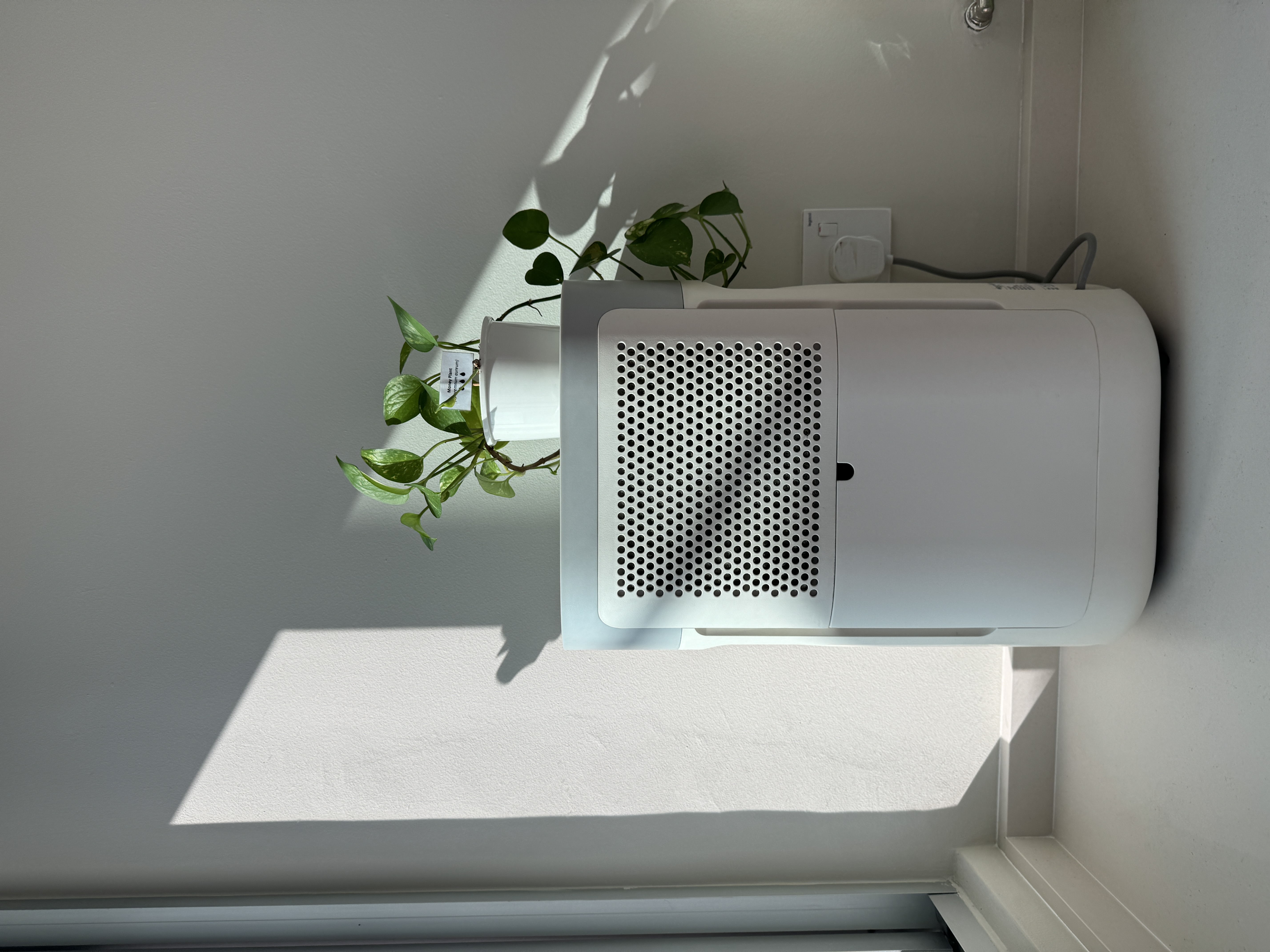 🌱From Clutter to Calm: Our Plant Haven Makeover - White air purifier, green plant, sunlight, indoor setting, modern design