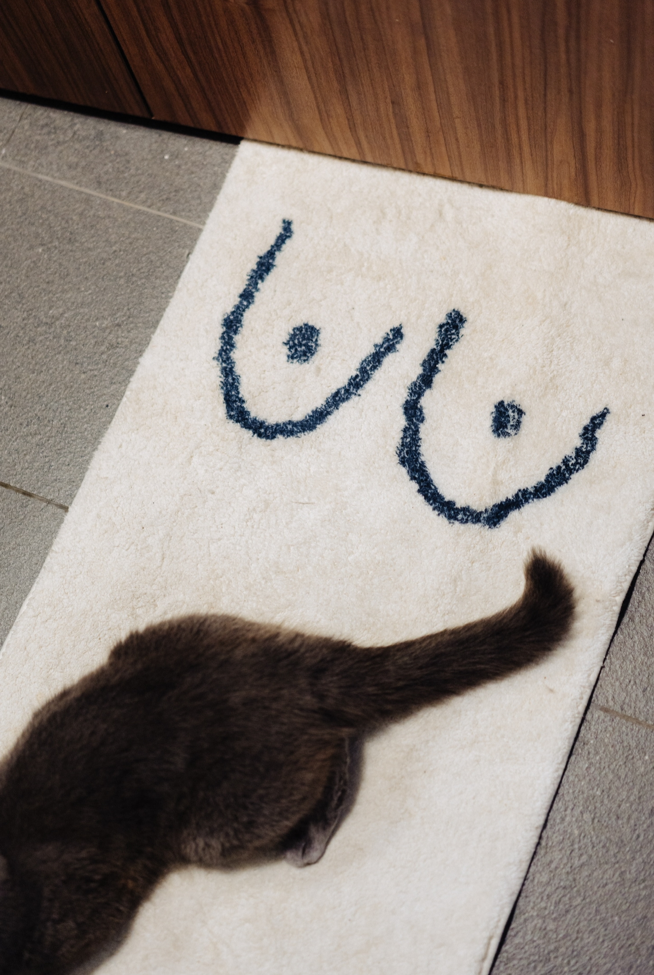 Our Standard Toilet That Came With Our DBSS: How We Spruced It Up ✨ - Brown cat walking on a beige rug with a blue design