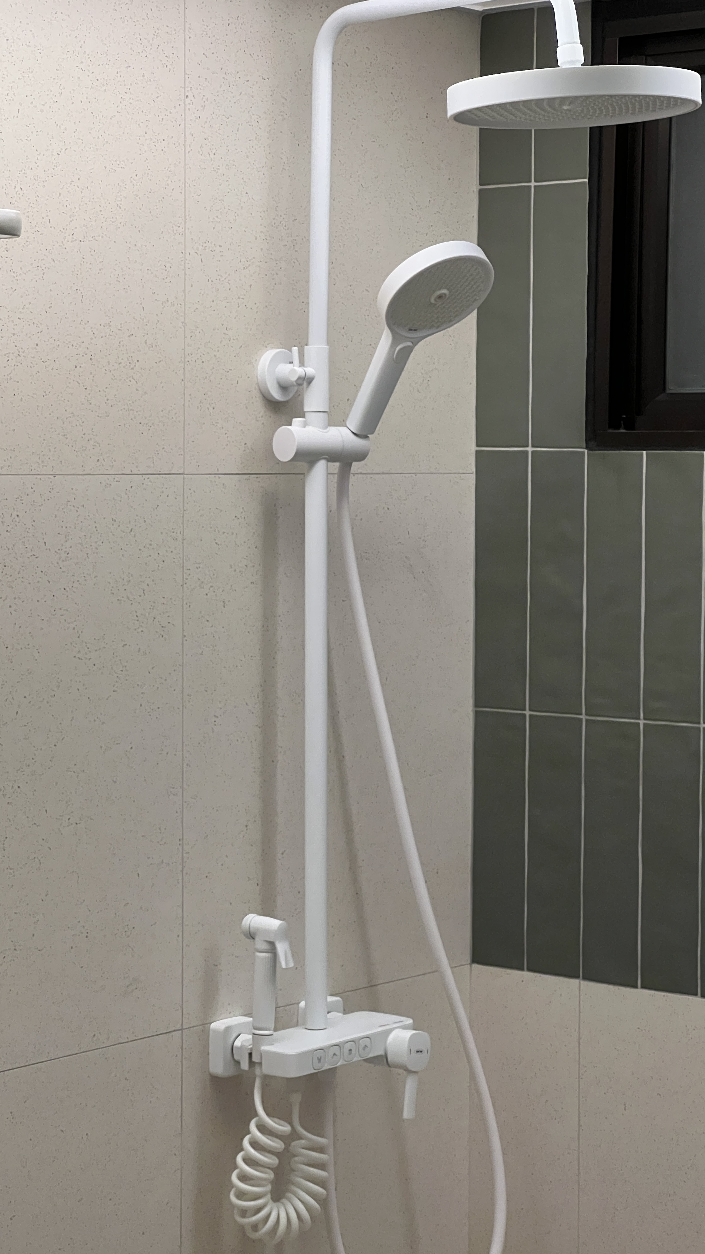 The Bathroom: Everyone’s Throne Room - Step-by-step shower setup, modern design, integrated showerhead, dual shower heads