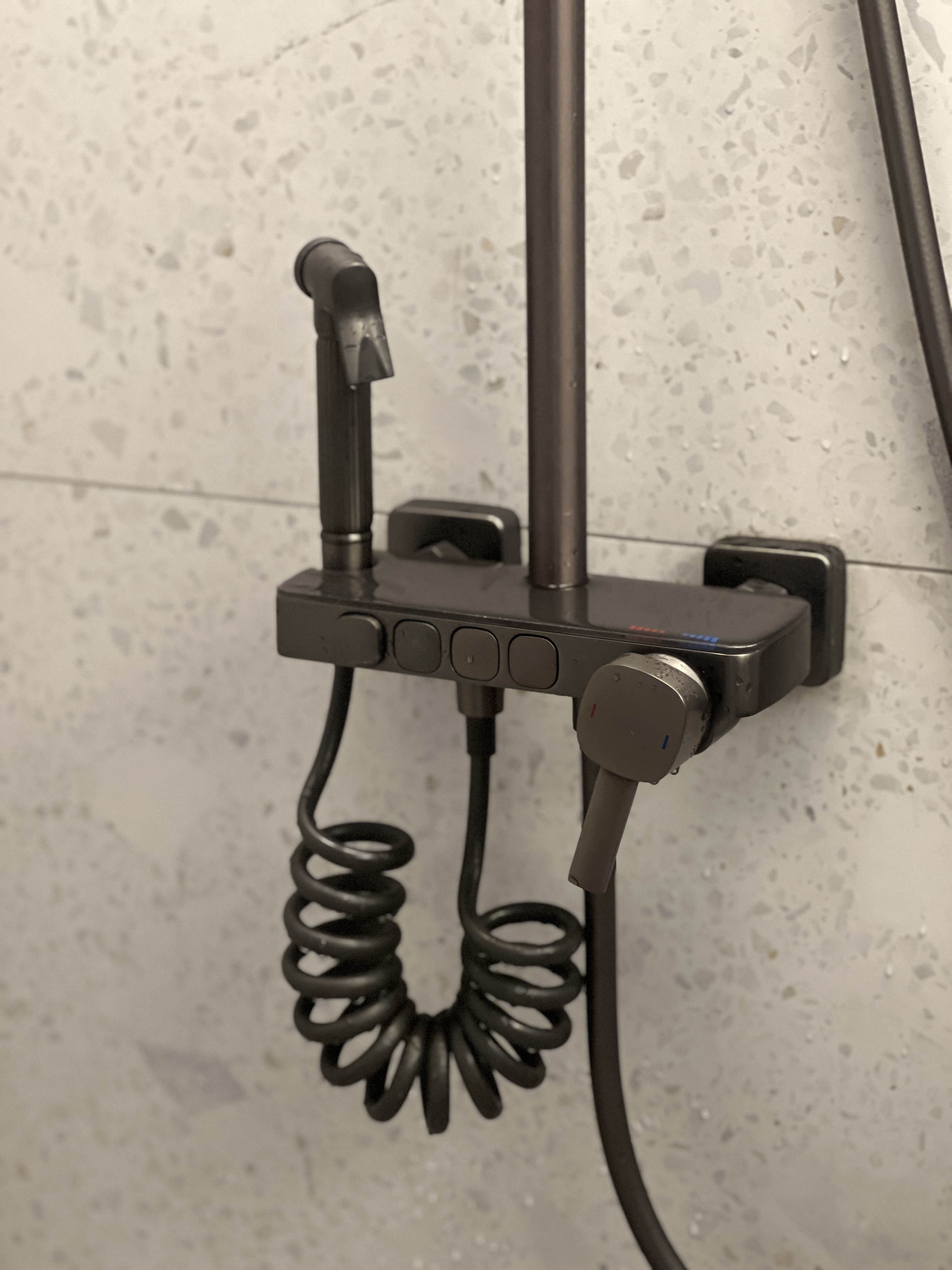The Bathroom: Everyone’s Throne Room - Black wall-mounted showerhead, metallic design, dual water jets, textured wall tiles