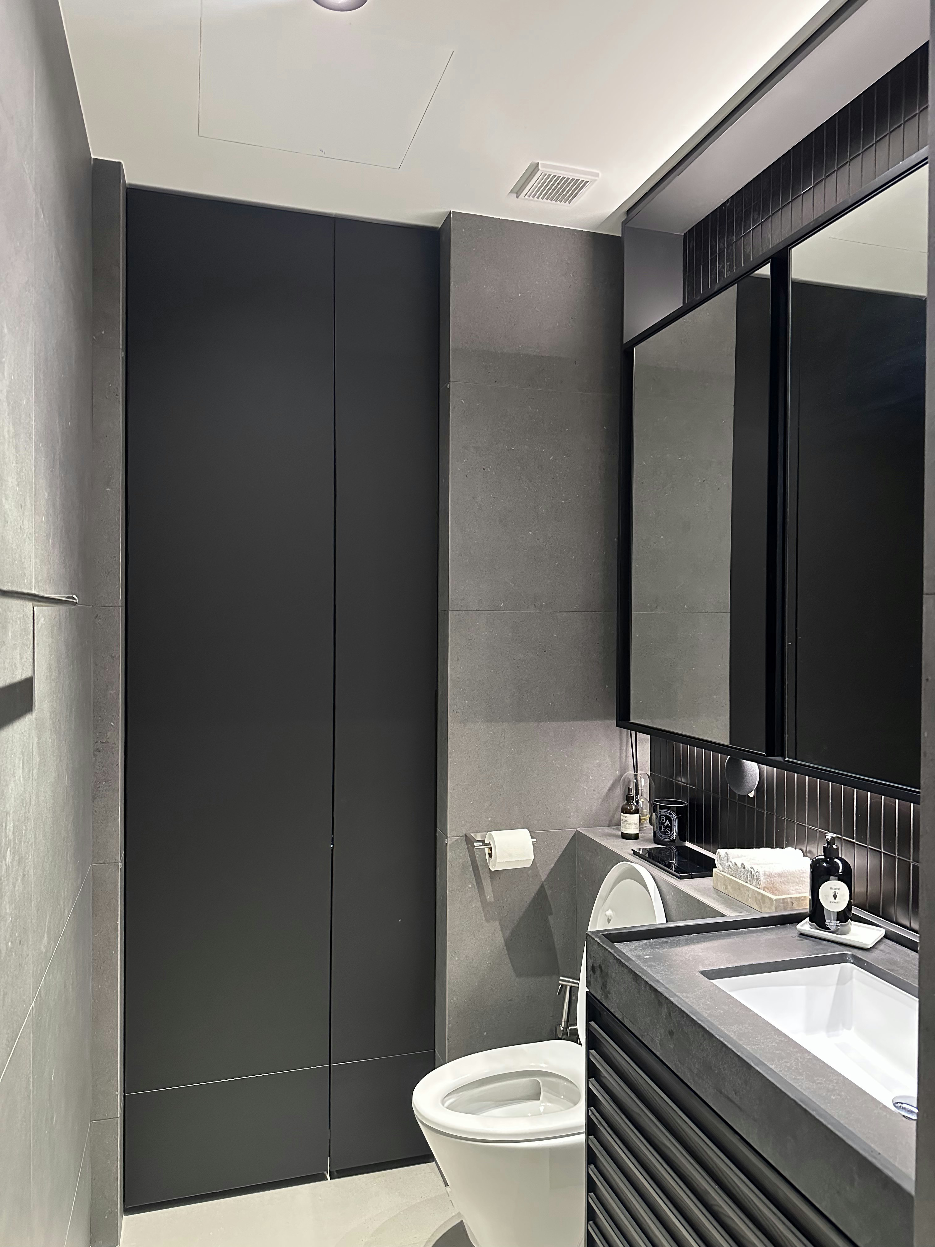 Luxe Loo: Our Bathroom Glow-Up (And We Hacked Down One Shower!) - Modern bathroom with sleek design, minimalist decor, dark