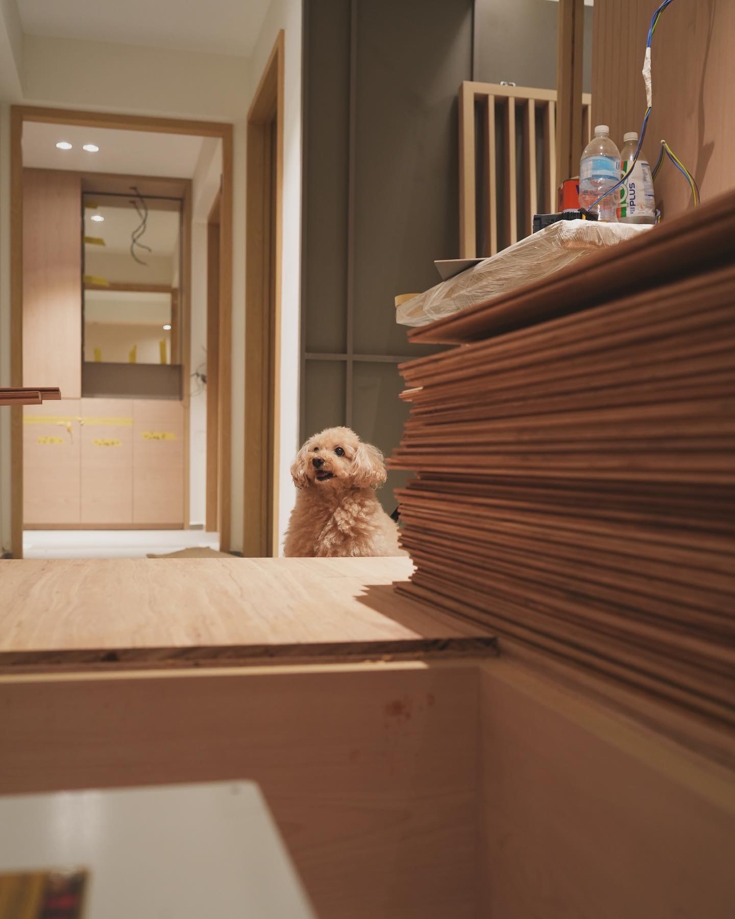 FAQ-with-@hitotema.home