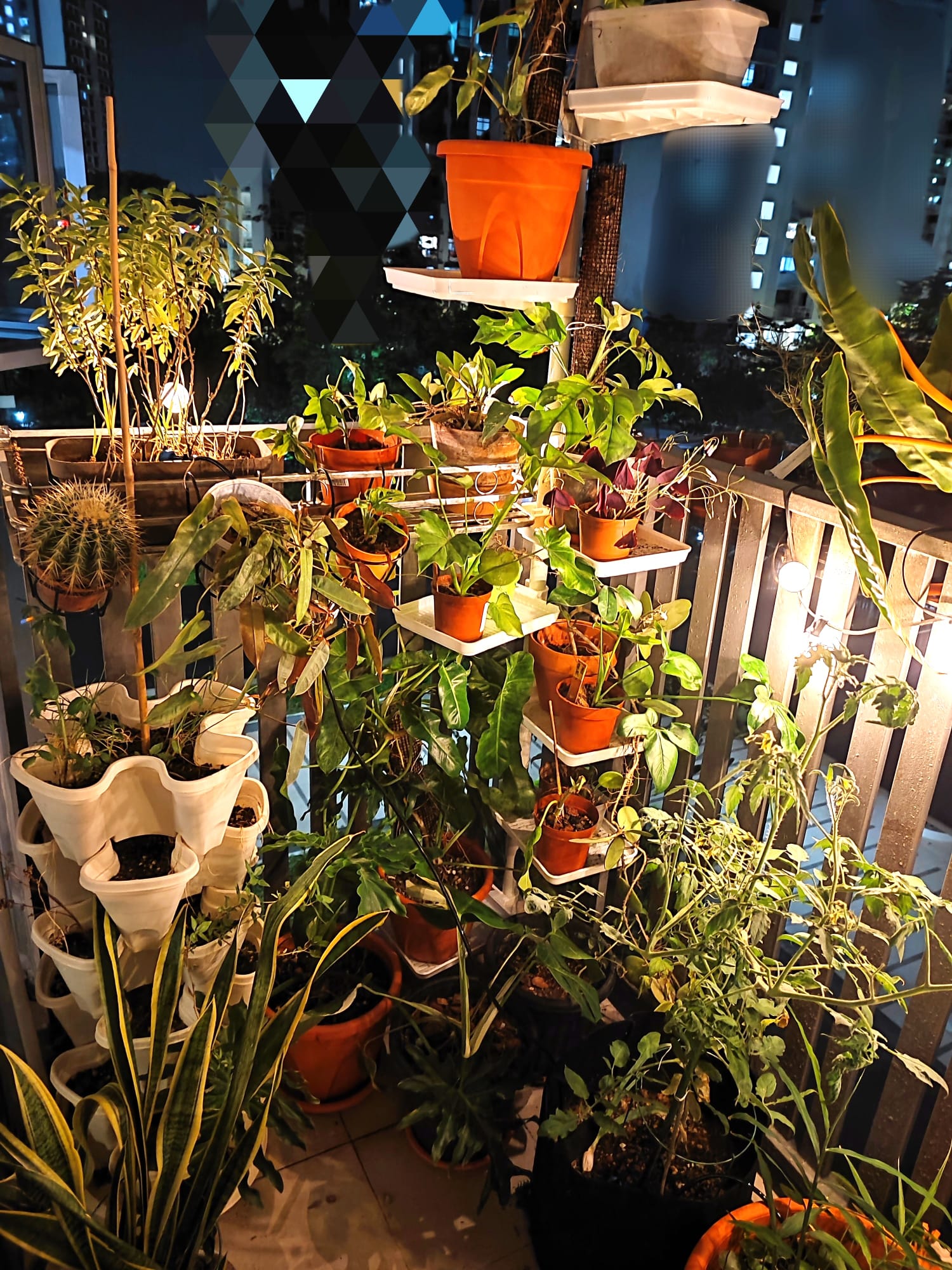 Embracing the Cozy Chaos of Our Lush Balcony Garden - various potted plants, indoor garden, balcony, nighttime, urban
