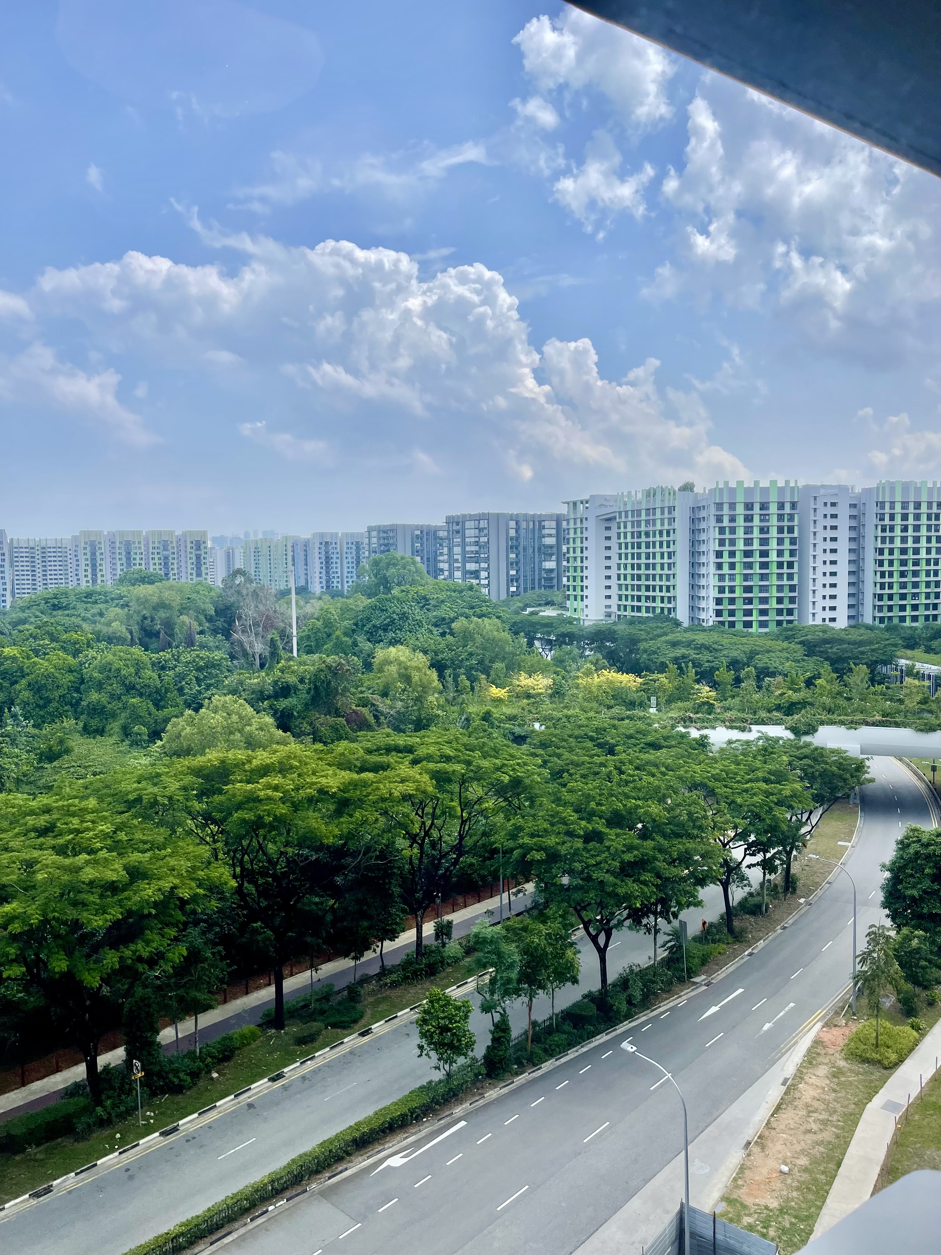 Our Minimalist Sunlit Workspace: Motorized Venetian Blinds & Greenery - vibrant green trees, urban skyline, modern apartment