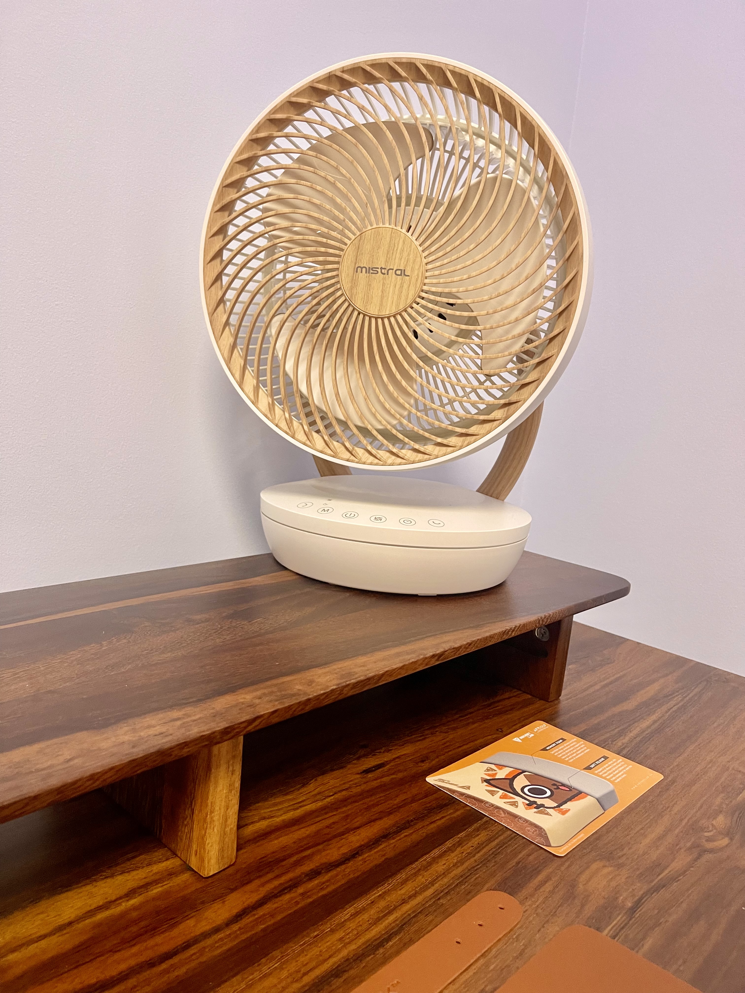 Our-Minimalist-Sunlit-Workspace:-Motorized-Venetian-Blinds-&-Greenery