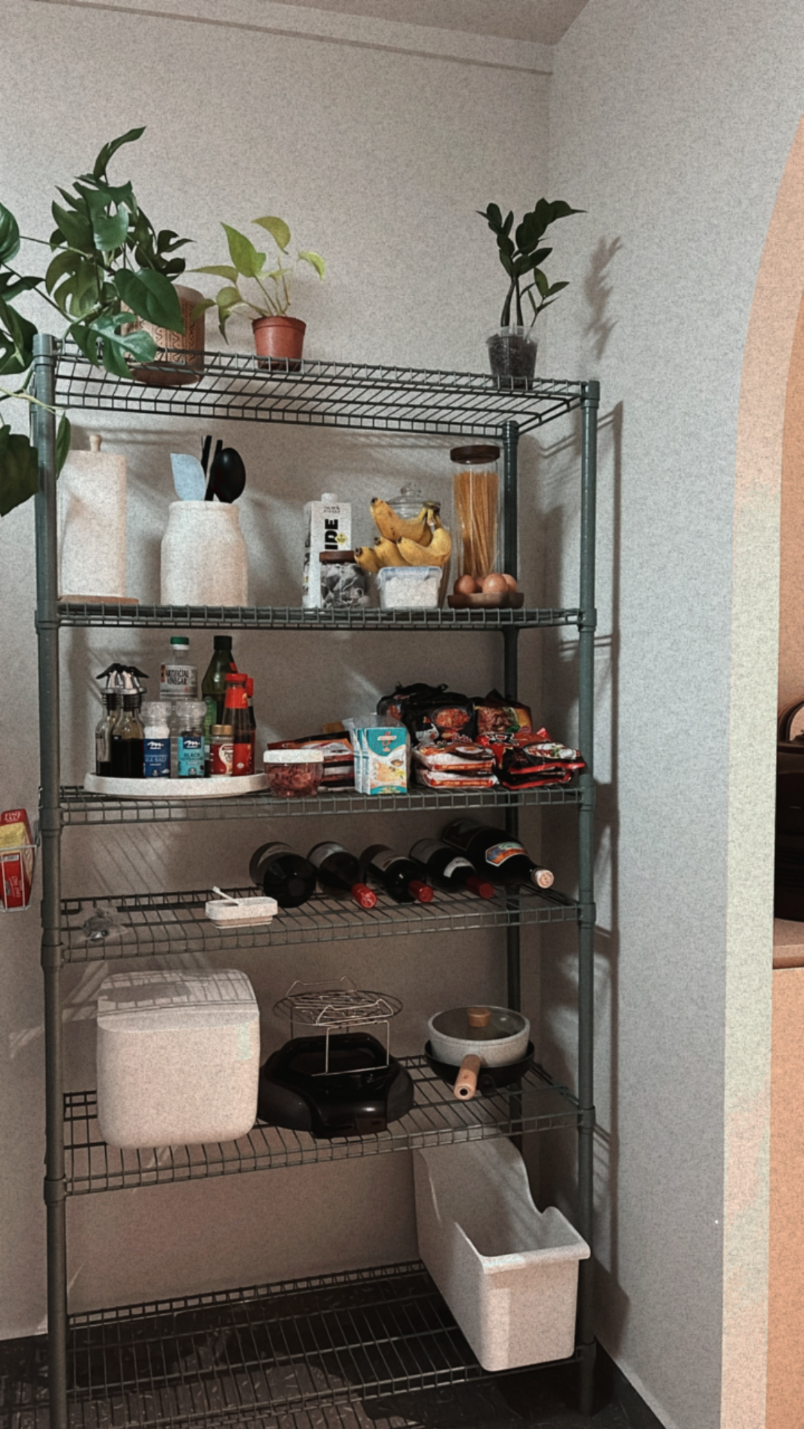Our Kitchen Renovation Journey: FAQs and Lessons Learned - metal shelving unit, kitchen pantry, plants, organized storage