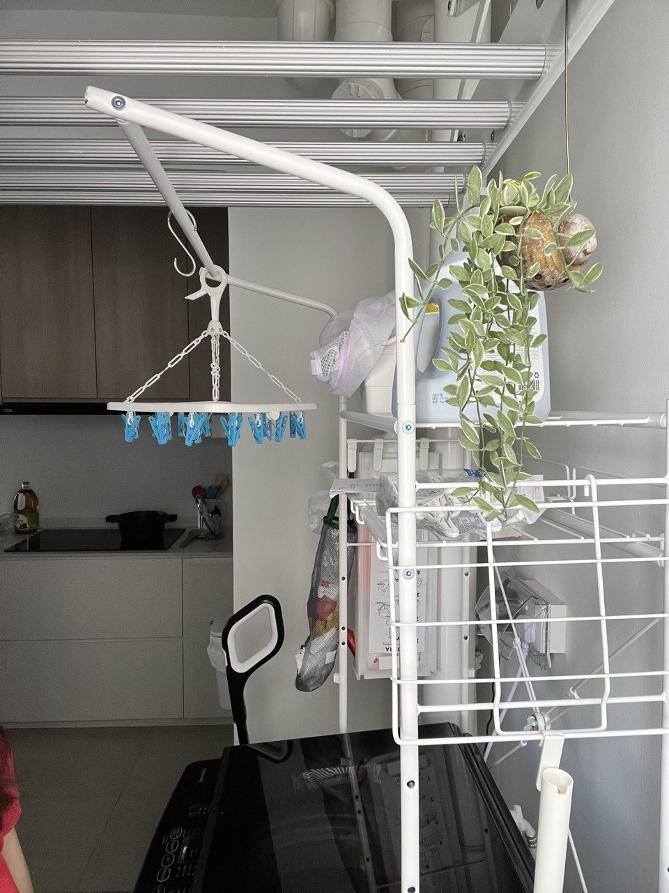Carpentry-Free Service Yard with a Fridge in a 3-Room BTO - White metal drying rack, hanging plant, blue hanging clothespins