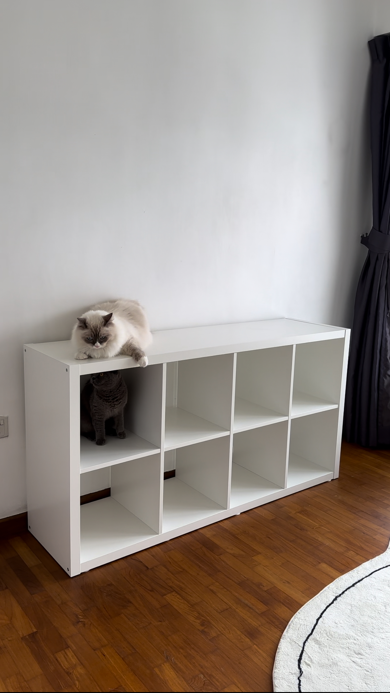 Our-Studio-Office:-Where-Our-Work-Takes-Place,-Literally-📸📽️🎞️