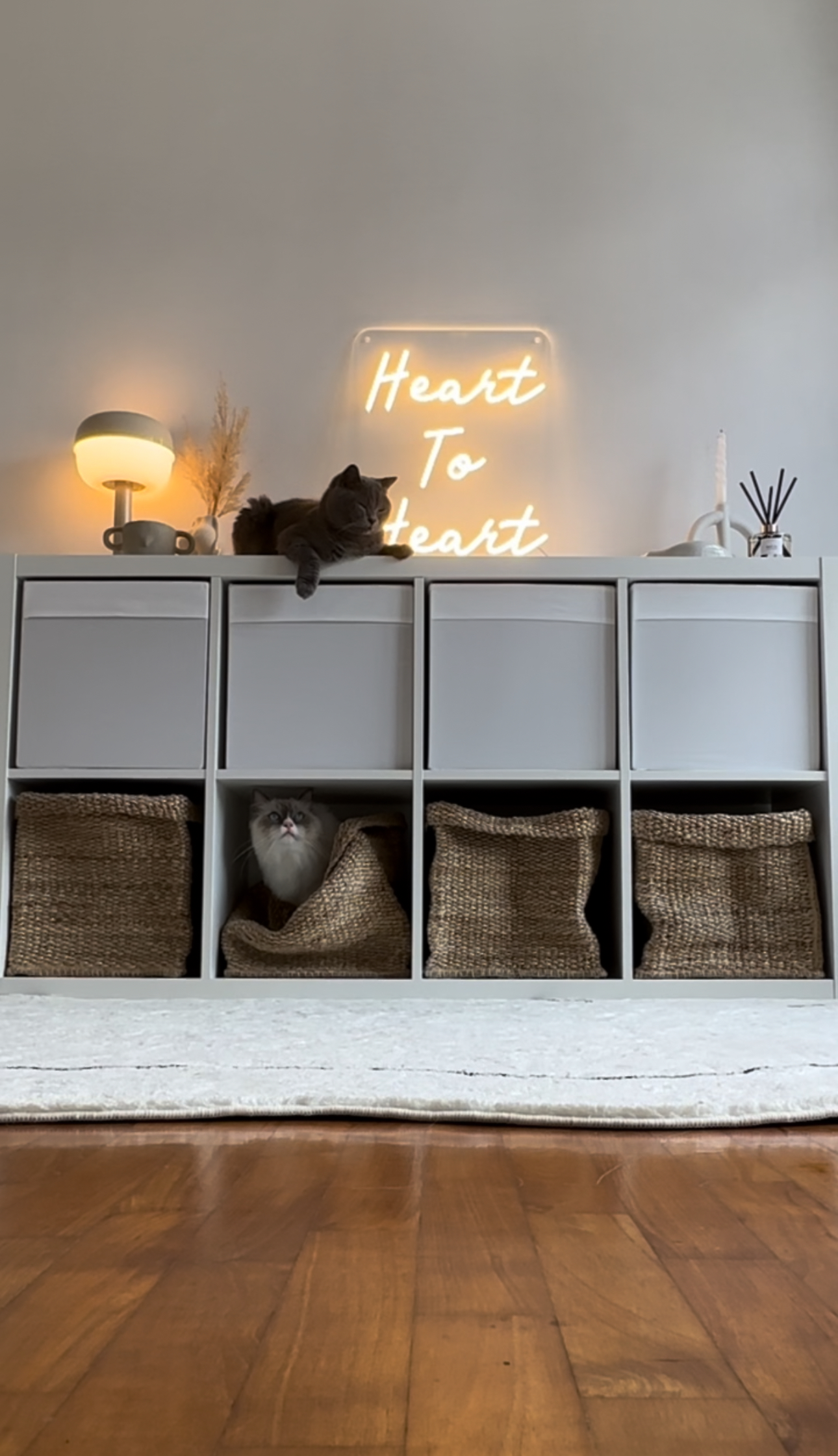 Our Studio Office: Where Our Work Takes Place, Literally 📸📽️🎞️ - Neatly organized storage unit, cozy cat lounging, soft