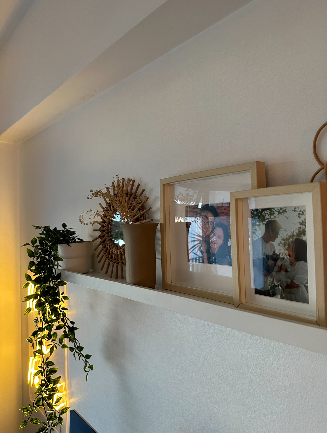 Our Studio Office: Where Our Work Takes Place, Literally 📸📽️🎞️ - vibrant green plant, cozy corner, natural light, white