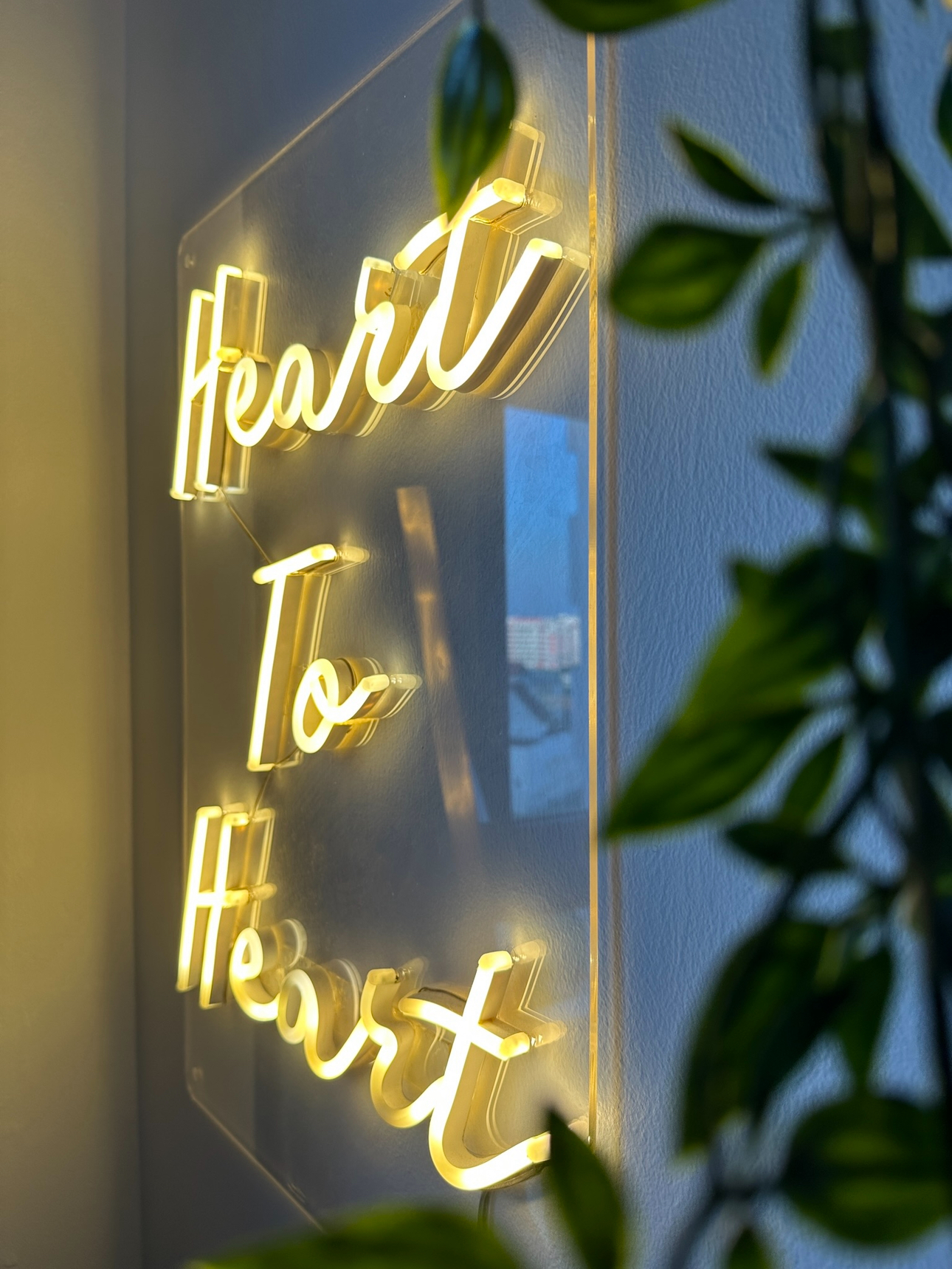 Our-Studio-Office:-Where-Our-Work-Takes-Place,-Literally-📸📽️🎞️