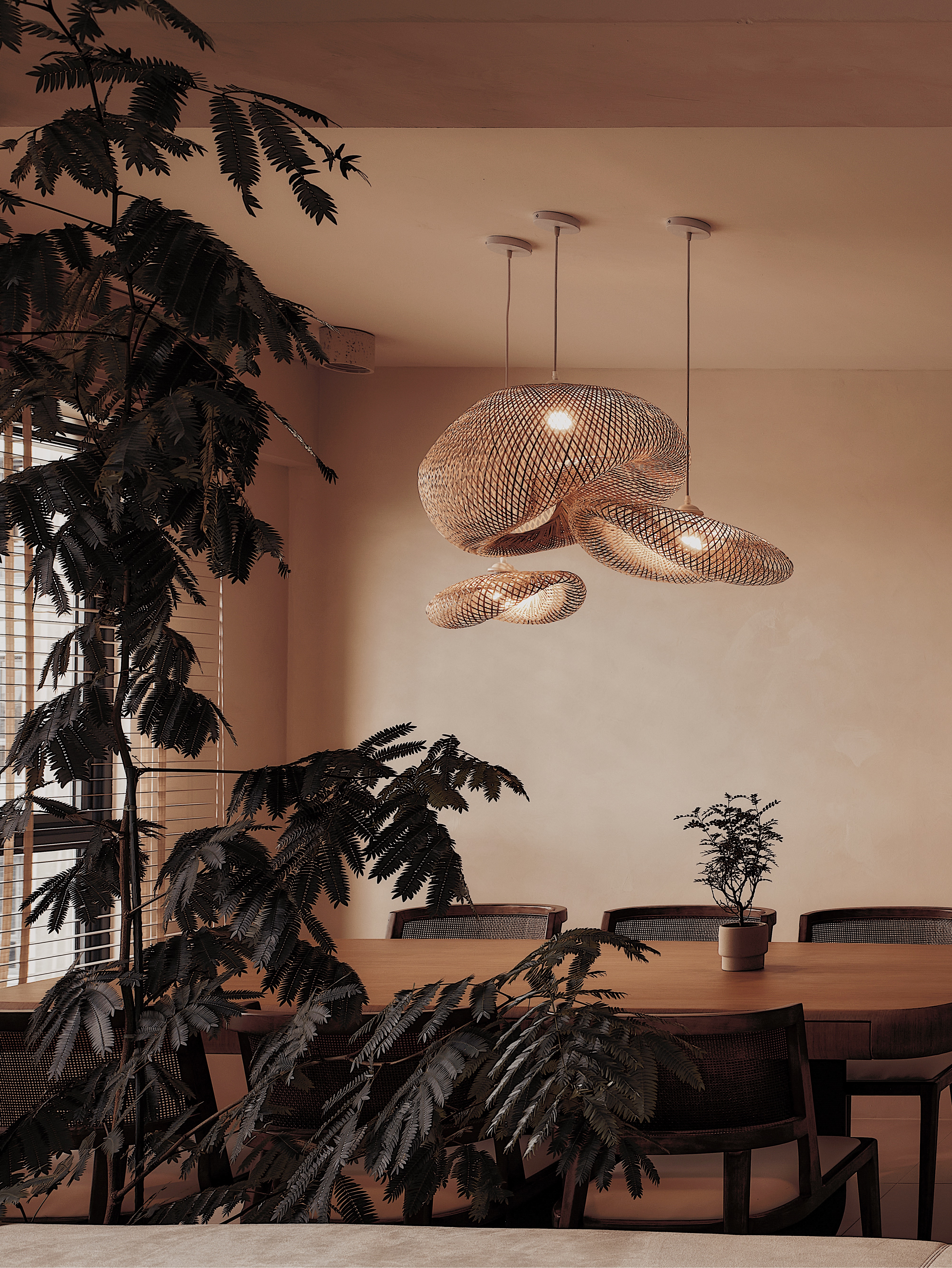 Here-are-our-Plant-Babies!-👶🏻🌱