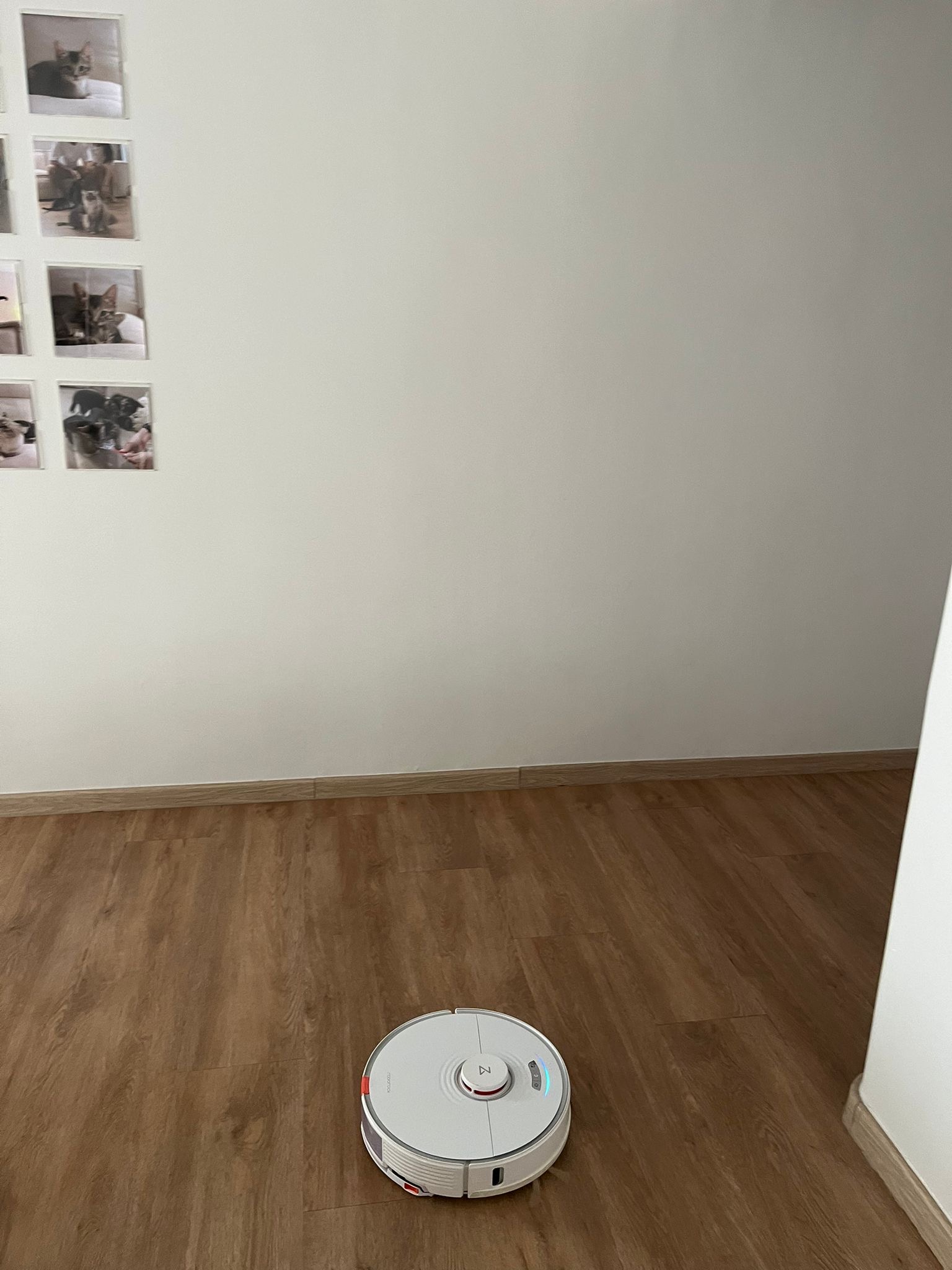 Top Investments for Modern Living - smart home, robotic vacuum, indoor cleaning, robotic dog, pet-friendly, home automation