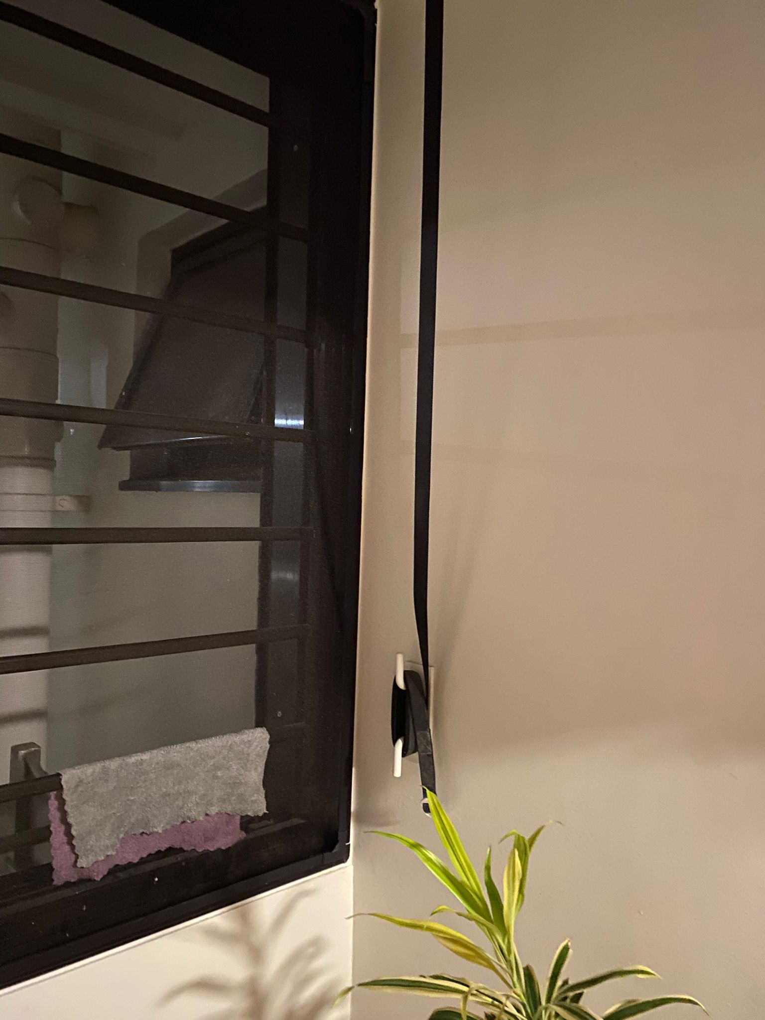 Service yard kept simple, functional and aesthetically pleasing - Window sill, black metal frame, window with bars, plant in