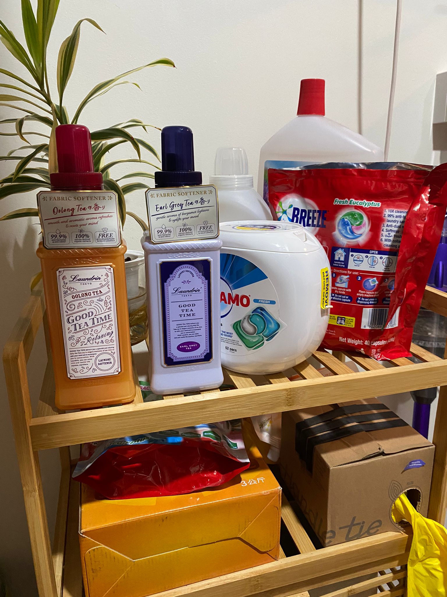 Service yard kept simple, functional and aesthetically pleasing - Fabric softener bottles, "Oolong Tea" and "Earl Grey Tea"