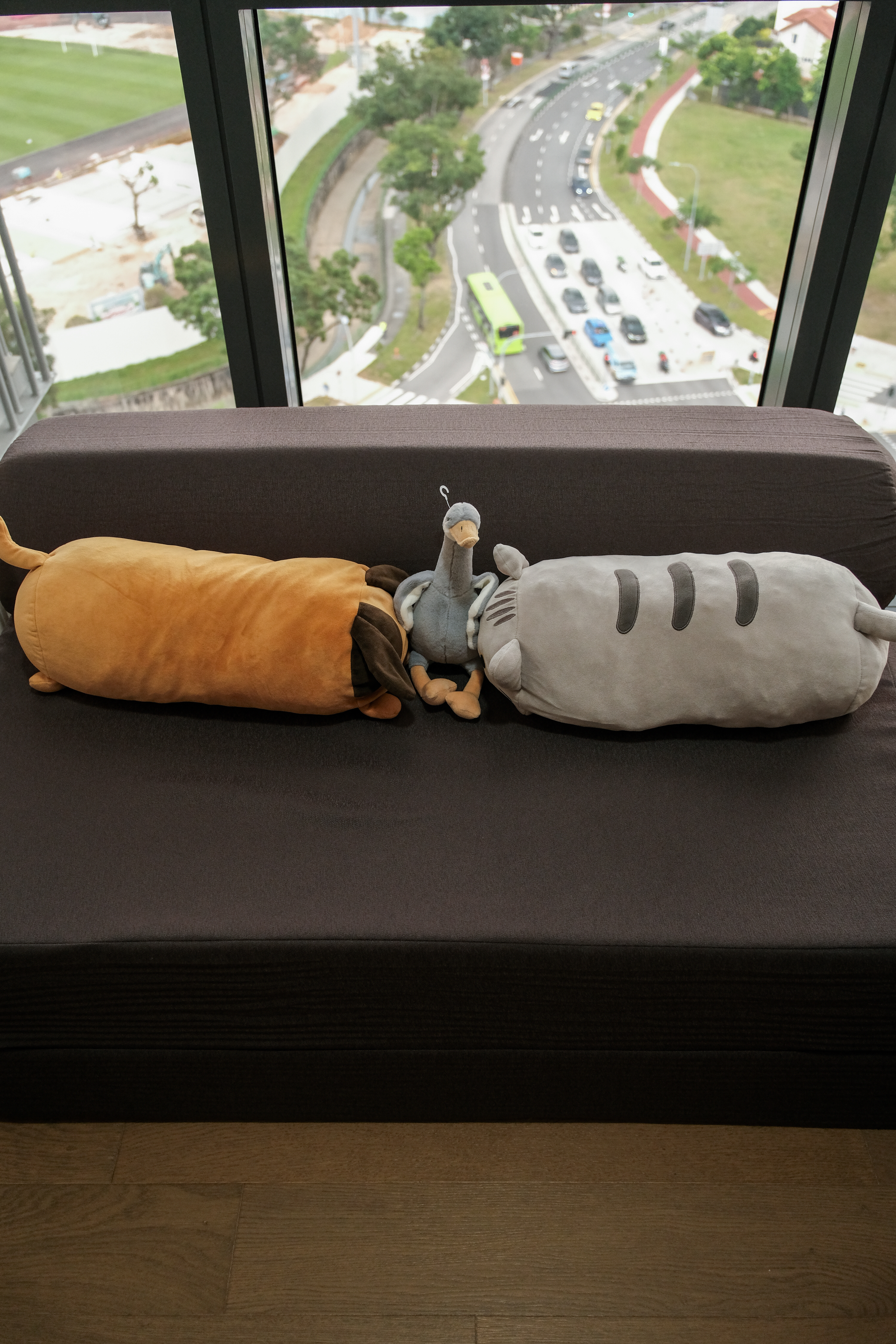 Our versatile guest room/study room! ✨ - Dog plush toy, cat plush toy, sleeping dogs, indoor setting, large windows