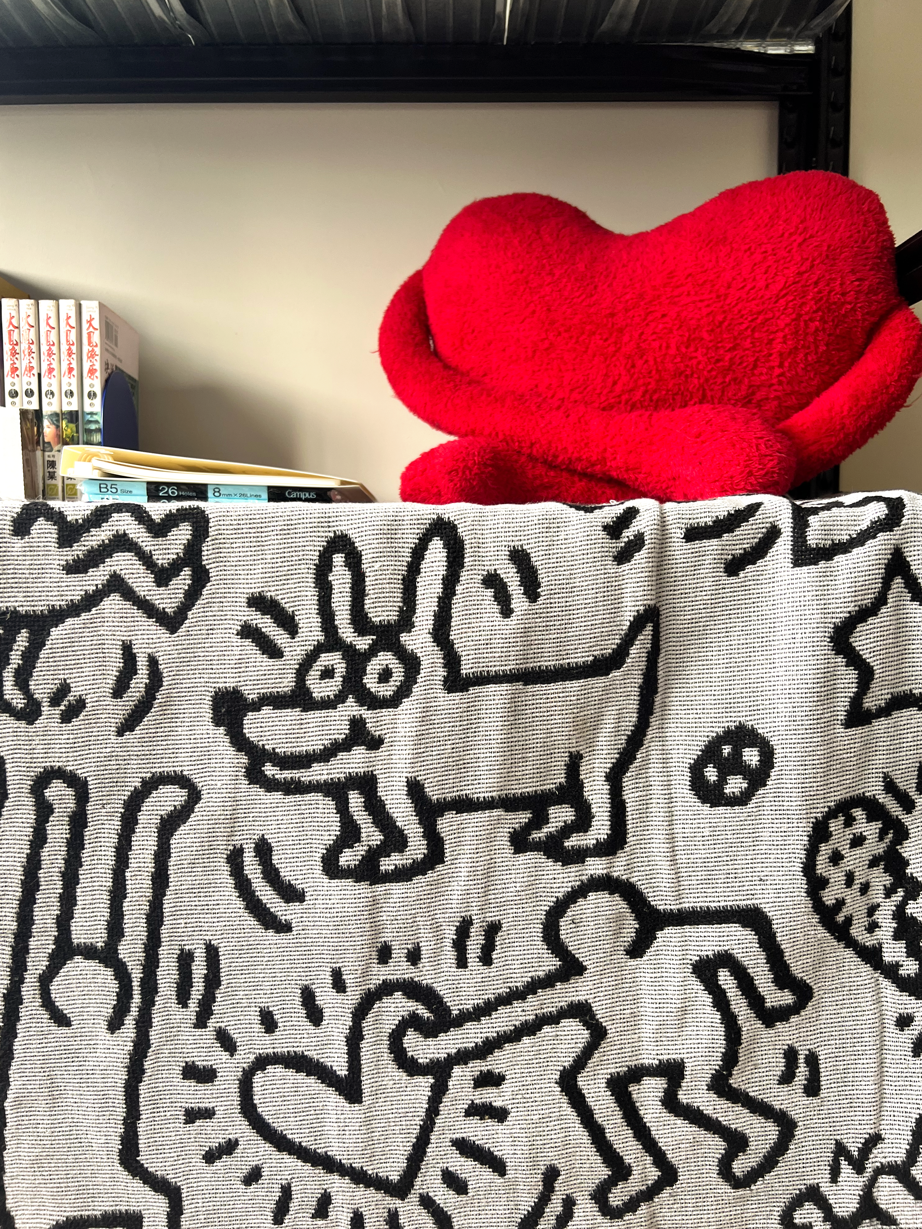 Organising a functional and aesthetic shelf for 2 monkeys 🙉🙊 - Red plush toy, abstract pattern, black and white design