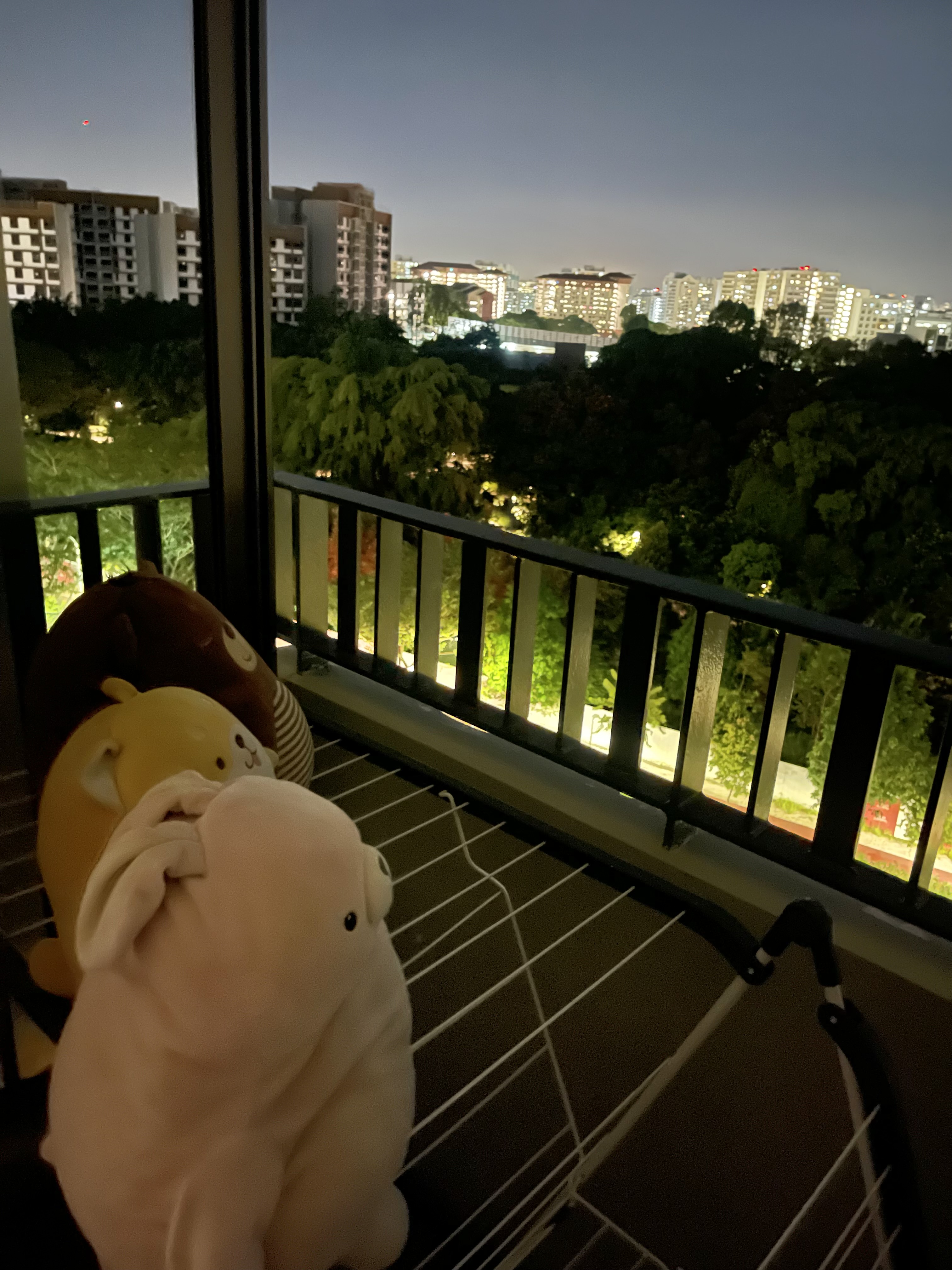 Our Green Oasis: Bringing Life Into Our Cosy Crib 🌿🍃 - Indoor view from balcony with cityscape in the background, Soft