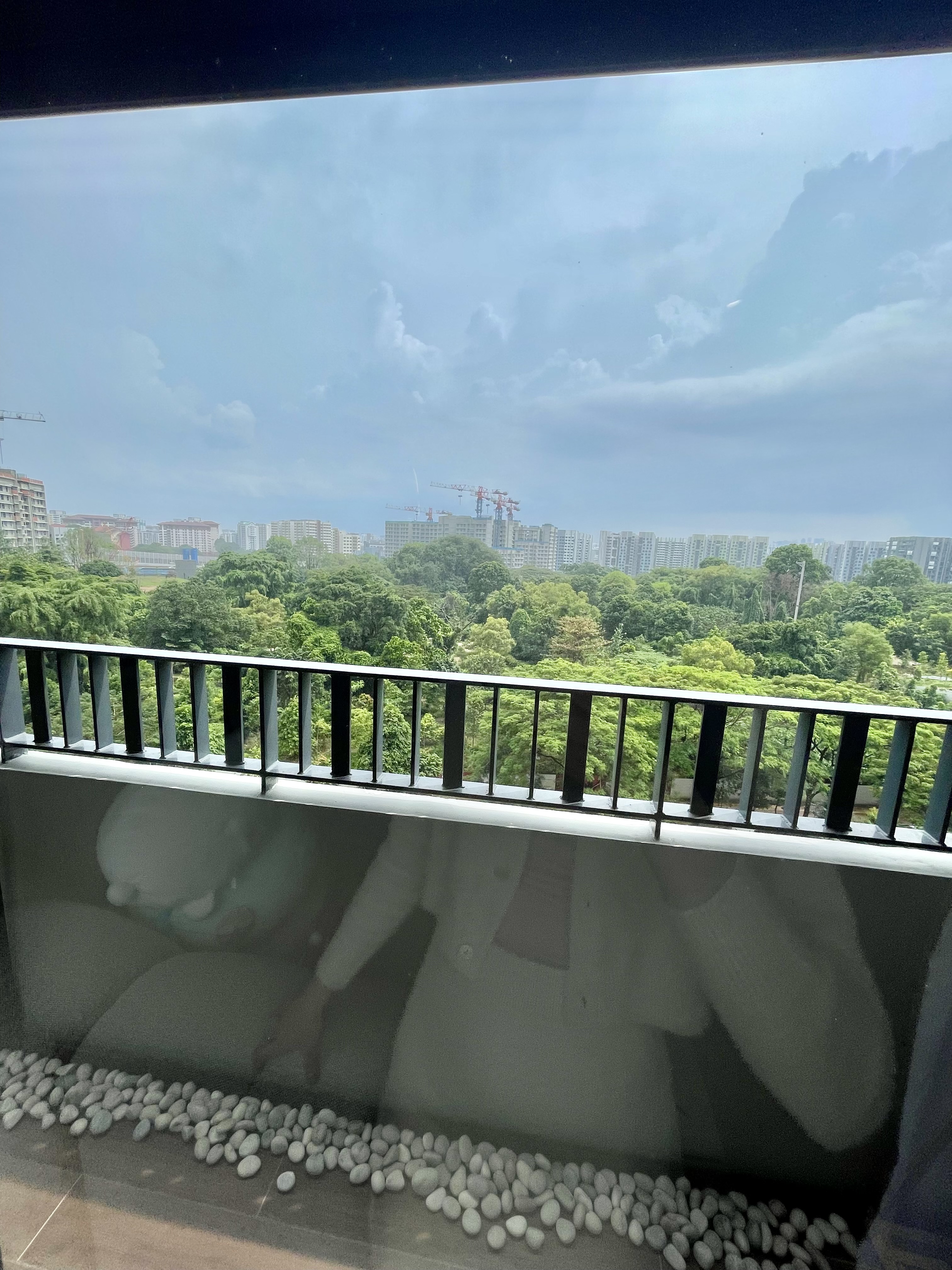 Our Green Oasis: Bringing Life Into Our Cosy Crib 🌿🍃 - Glass window, balcony railing, green trees, urban landscape, city