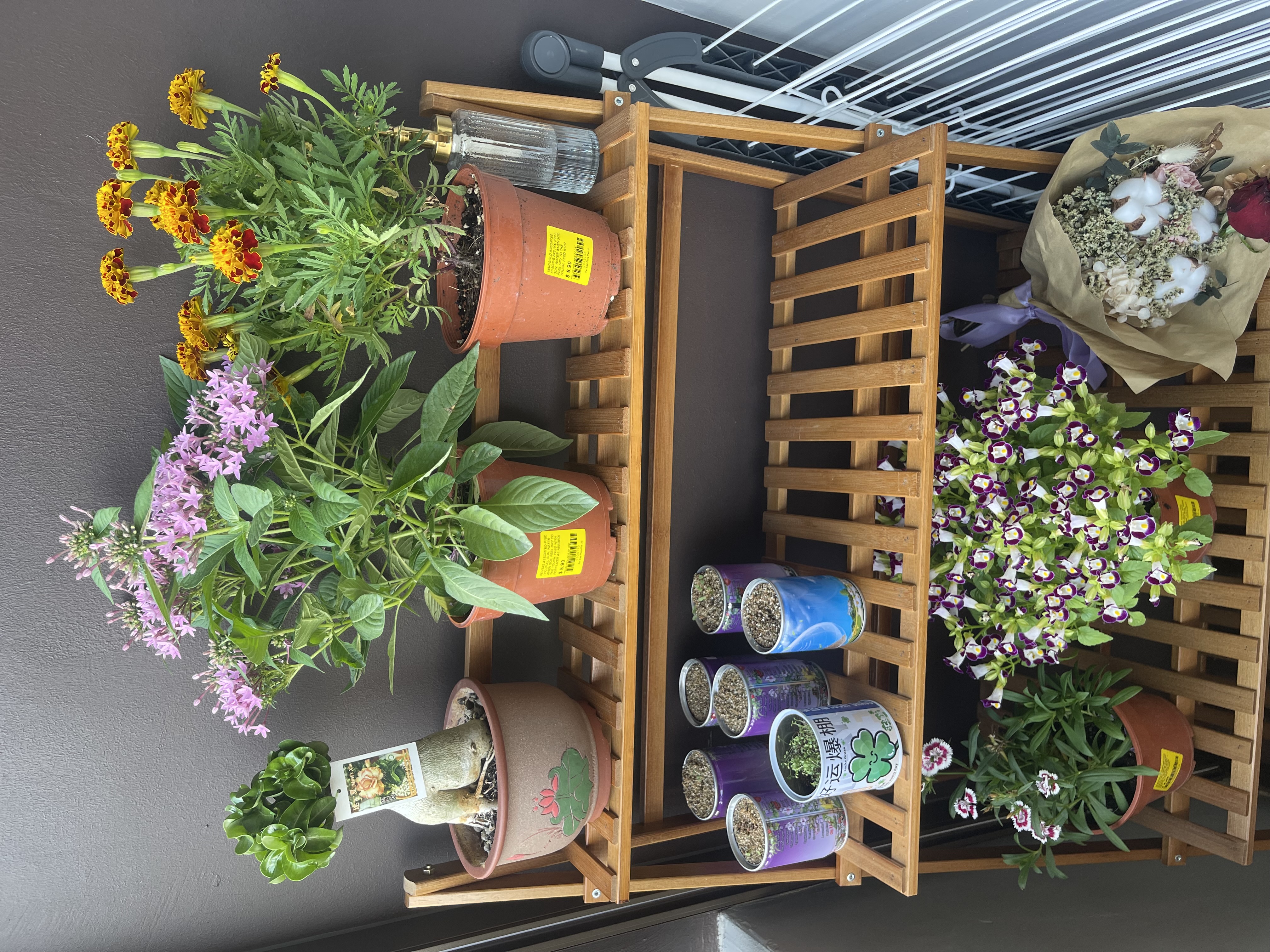 Our Green Oasis: Bringing Life Into Our Cosy Crib 🌿🍃 - Yellow flowers with green leaves, potted plants on a shelf, wooden