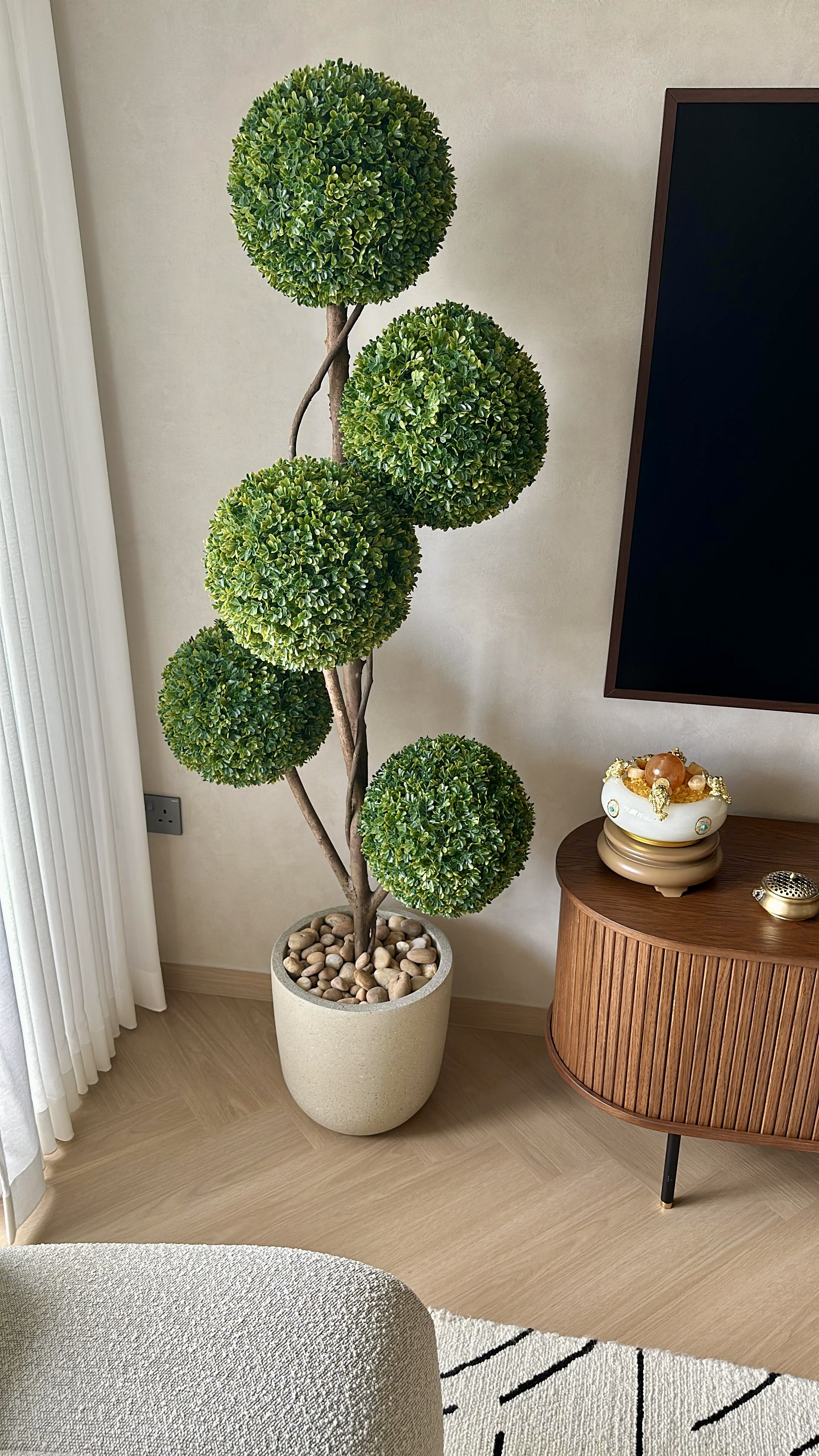 Our-Green-Oasis:-Bringing-Life-Into-Our-Cosy-Crib-🌿🍃