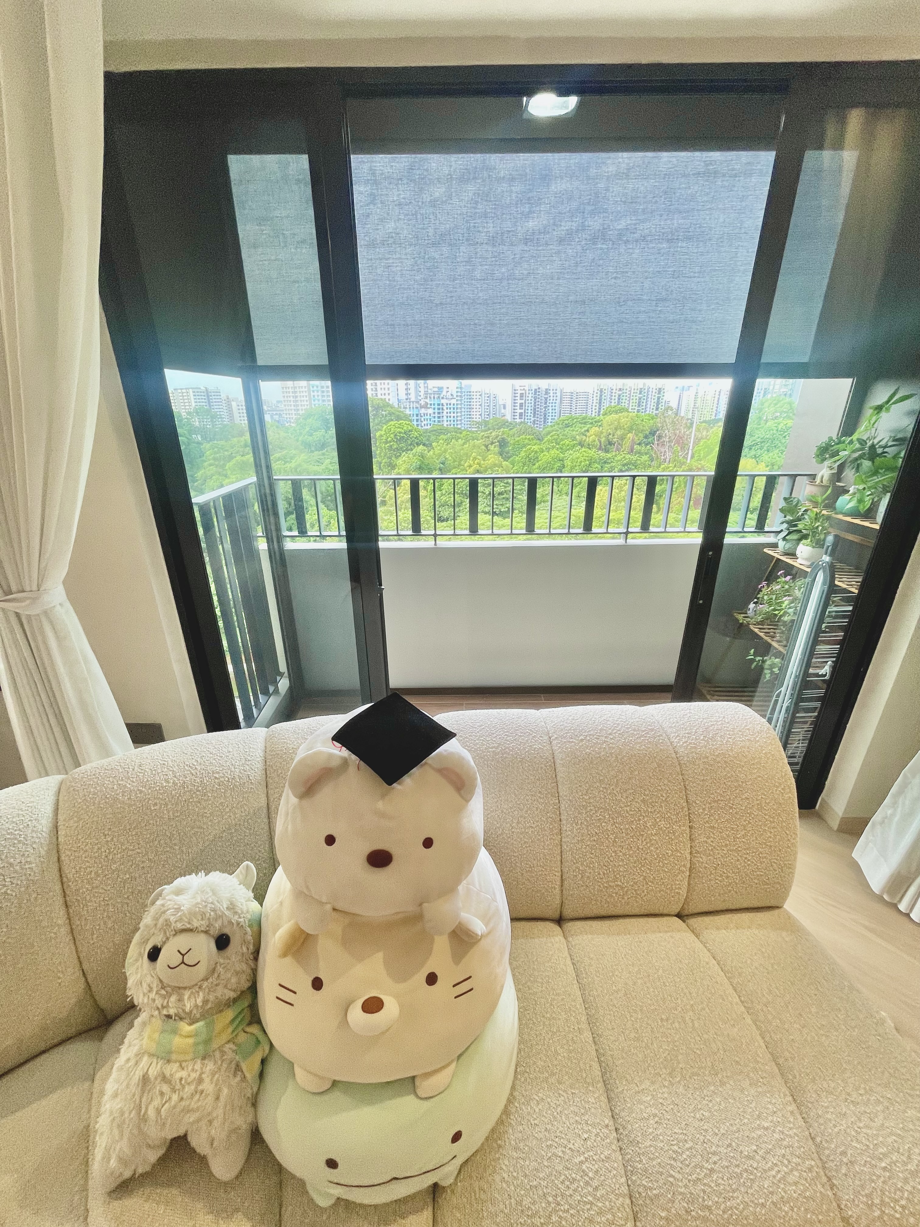 Our-Green-Oasis:-Bringing-Life-Into-Our-Cosy-Crib-🌿🍃