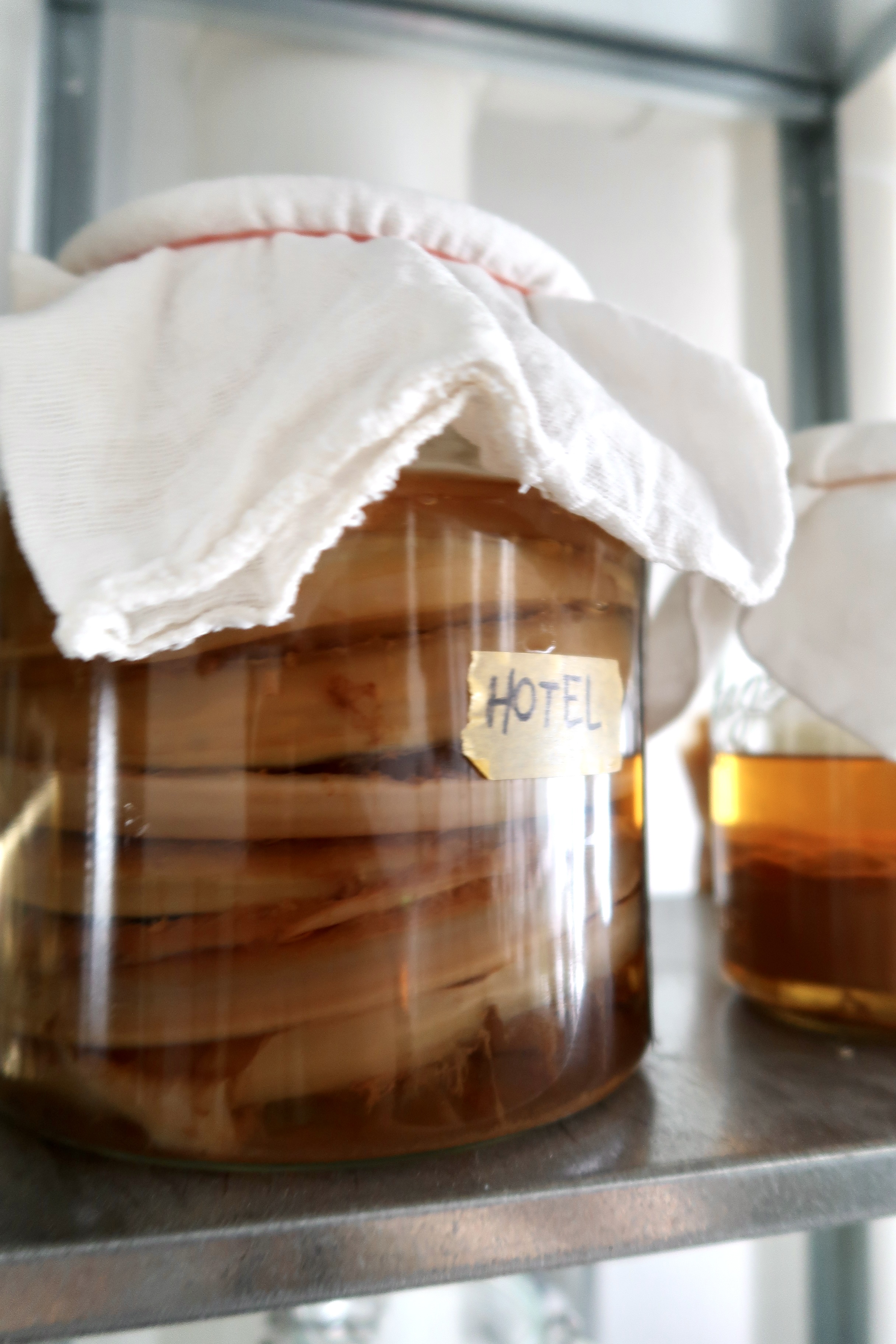 Multi-Use Service Yard with a Fermentation Nook  - Glass jar with white cloth covering, labeled "HOTEL, " filled with amber