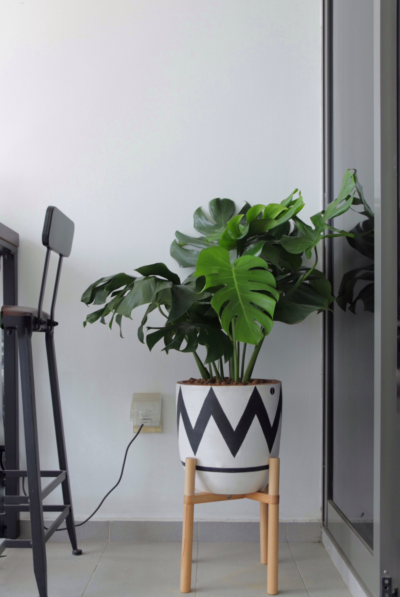 Our 10sqm Balcony: Outdoor Oasis That Makes Our DBSS Look Like A Condo - Green potted plant with large, glossy leaves, white