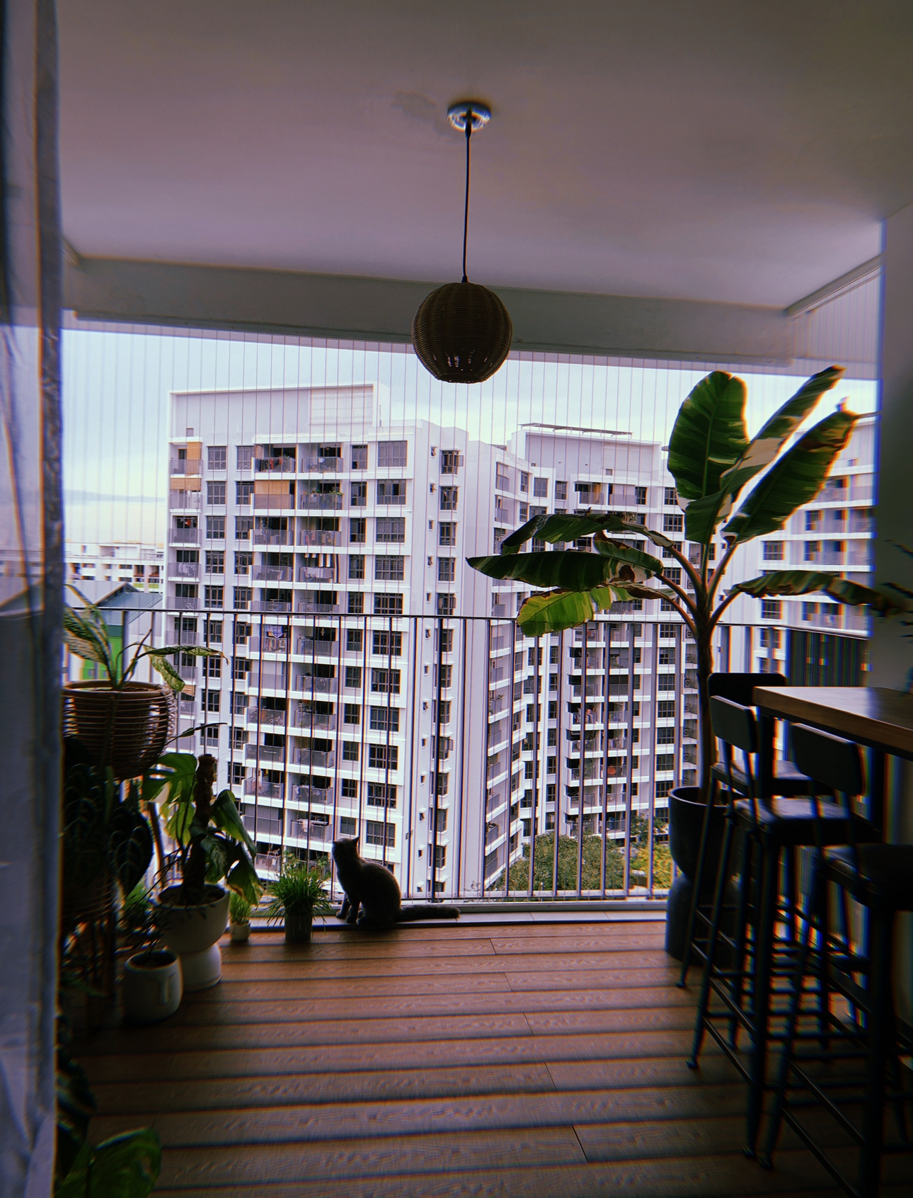 Our 10sqm Balcony: Outdoor Oasis That Makes Our DBSS Look Like A Condo - Modern balcony with potted plants, cat sitting on