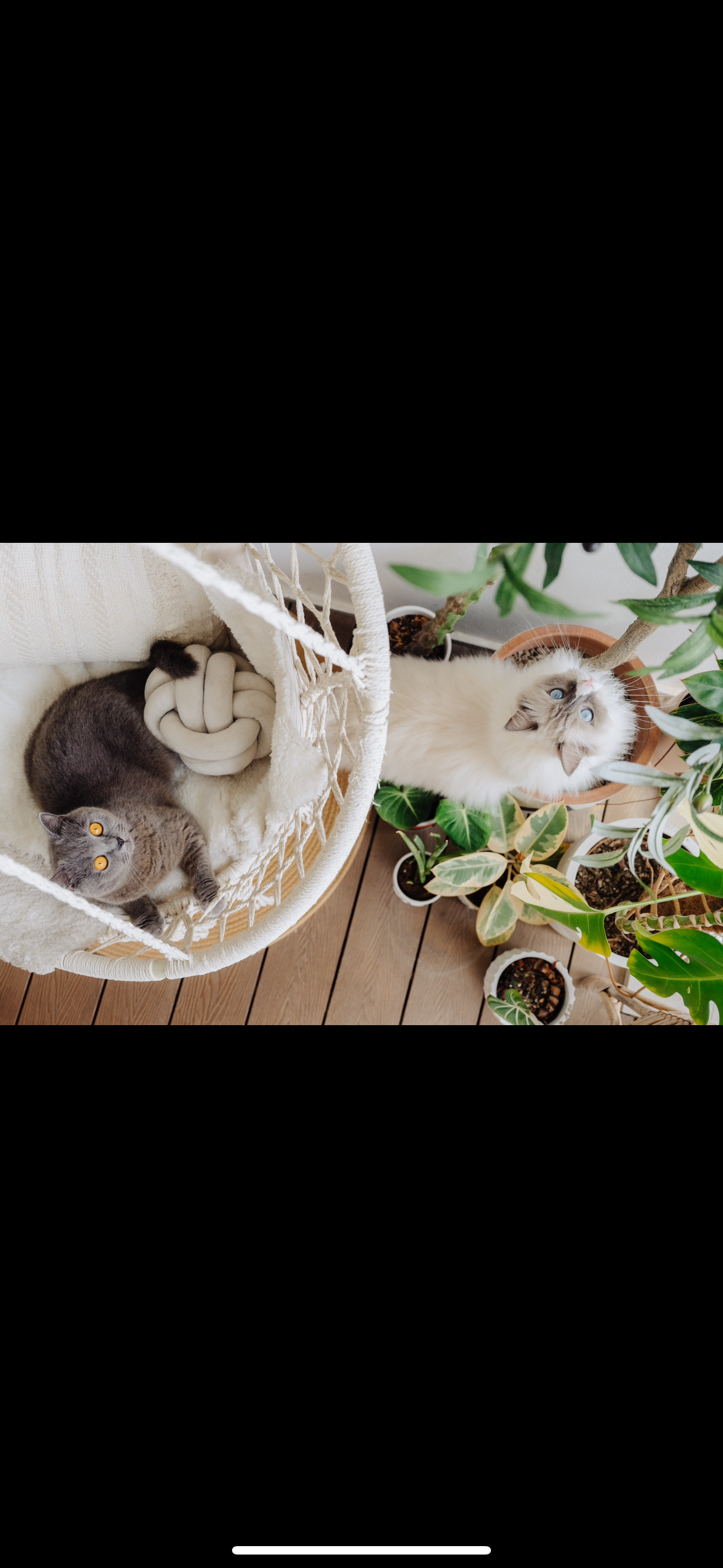 Our-10sqm-Balcony:-Outdoor-Oasis-That-Makes-Our-DBSS-Look-Like-A-Condo