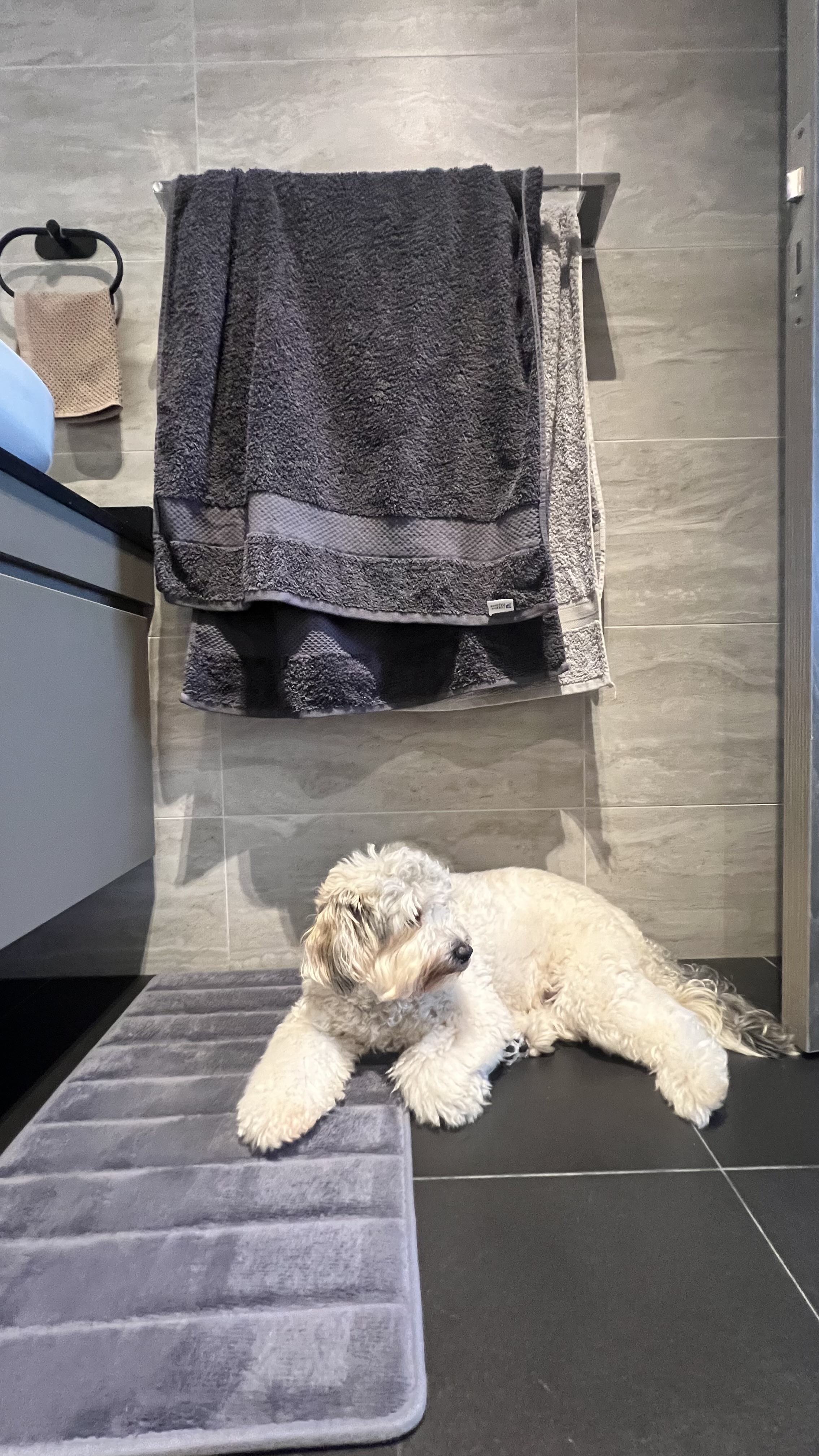 From Routine to Retreat: Crafting a Luxurious Bathroom Experience - Grey fluffy dog, lying on rug, modern bathroom, dark grey