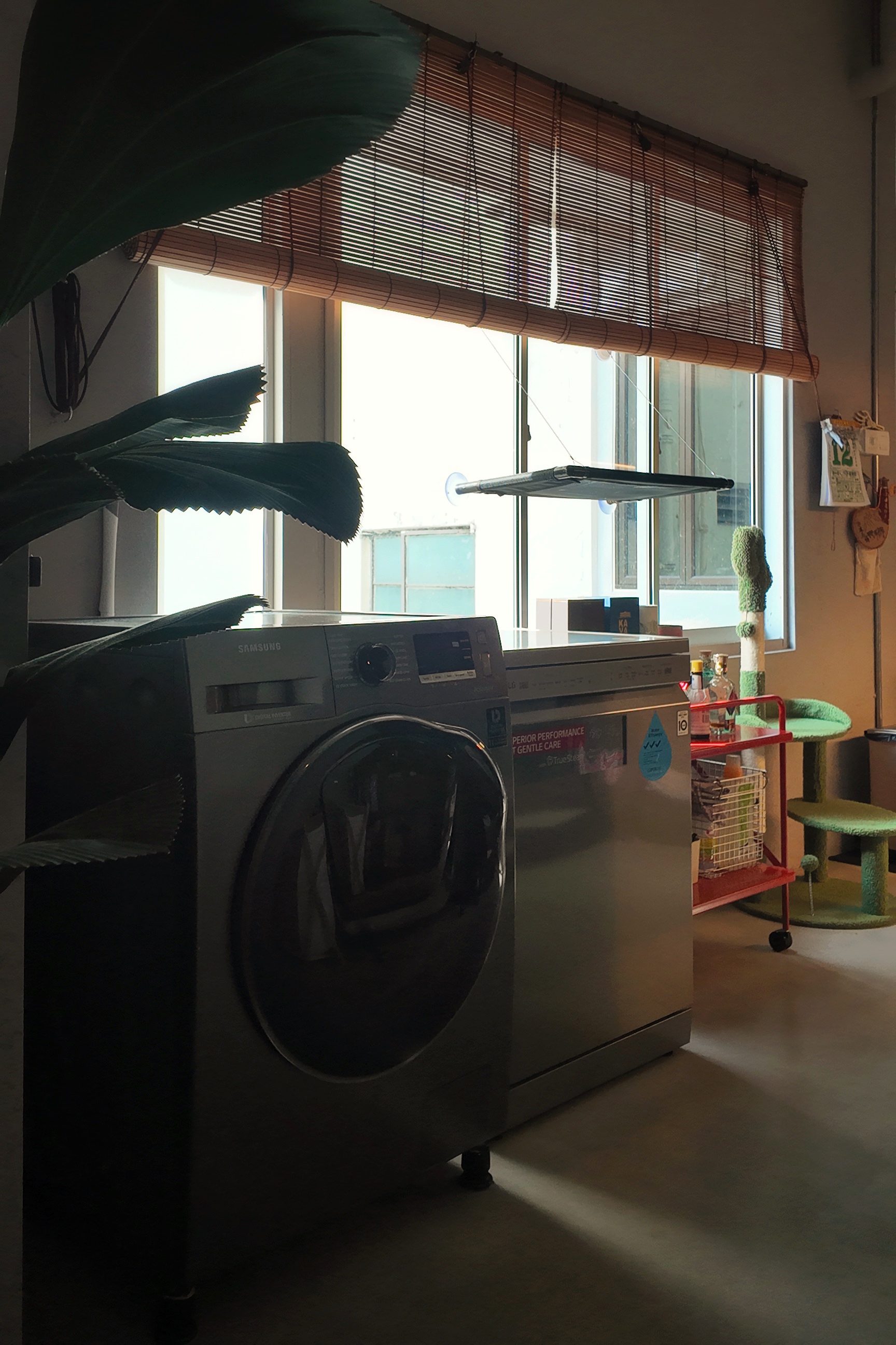 Service Yard//Cat Kingdom? - Washing machine, indoor setting, laundry room, large green plant, bamboo blinds, natural light