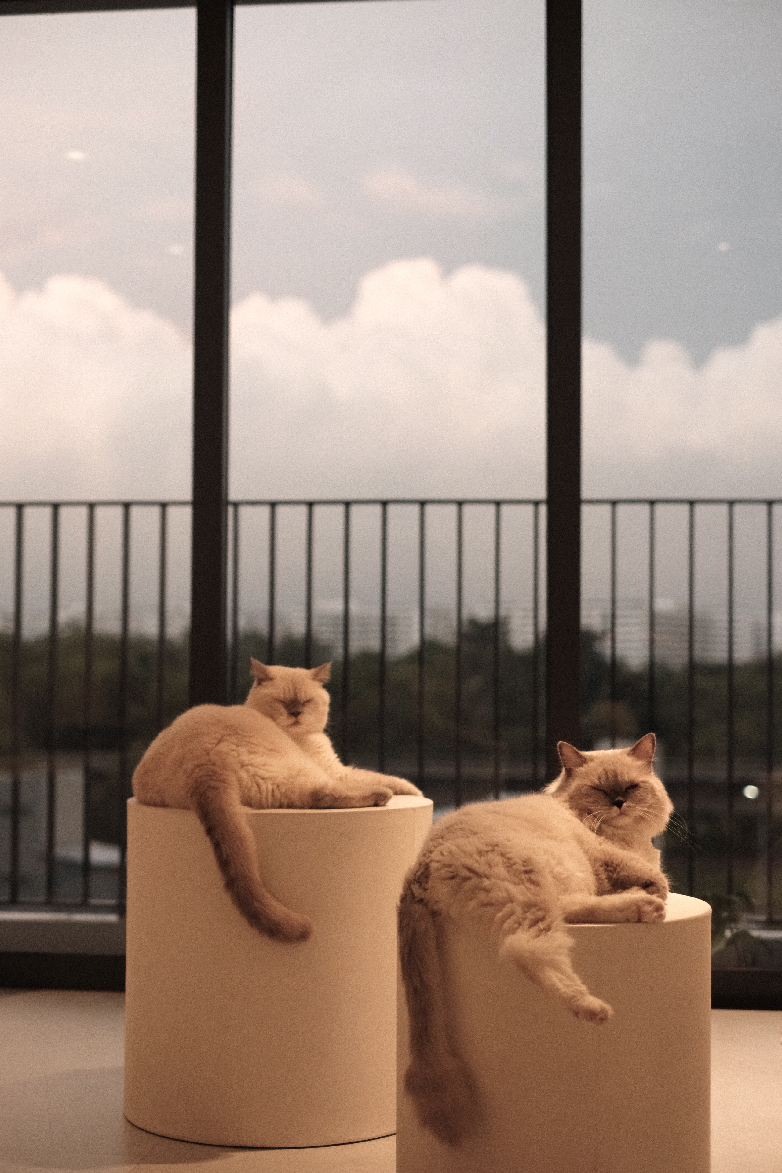 Our-House-Hunting-Adventure