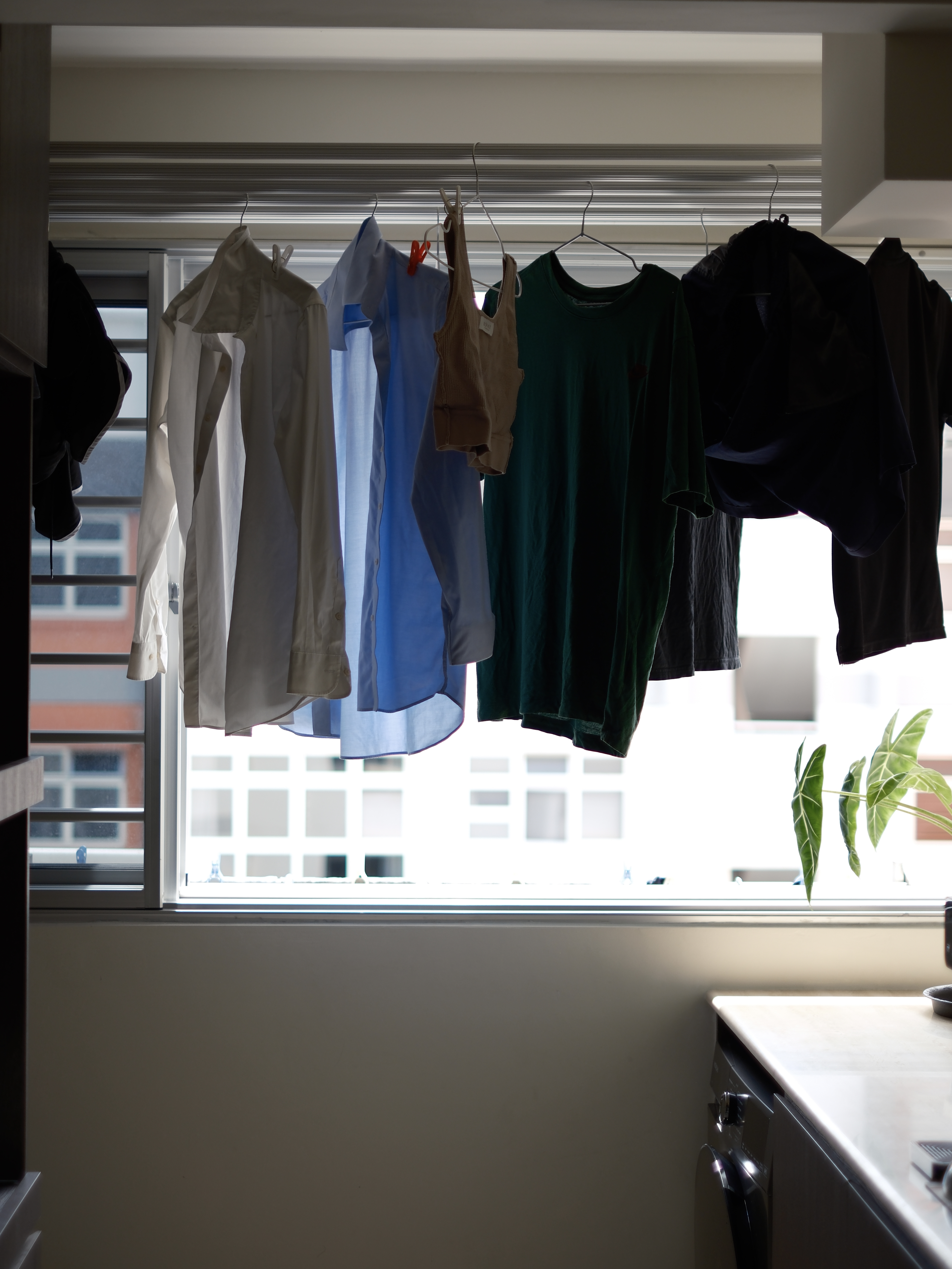 Service Yard: Laundry and Plant corner - Clothes hanging on a rod, window with blinds, light streaming through, white