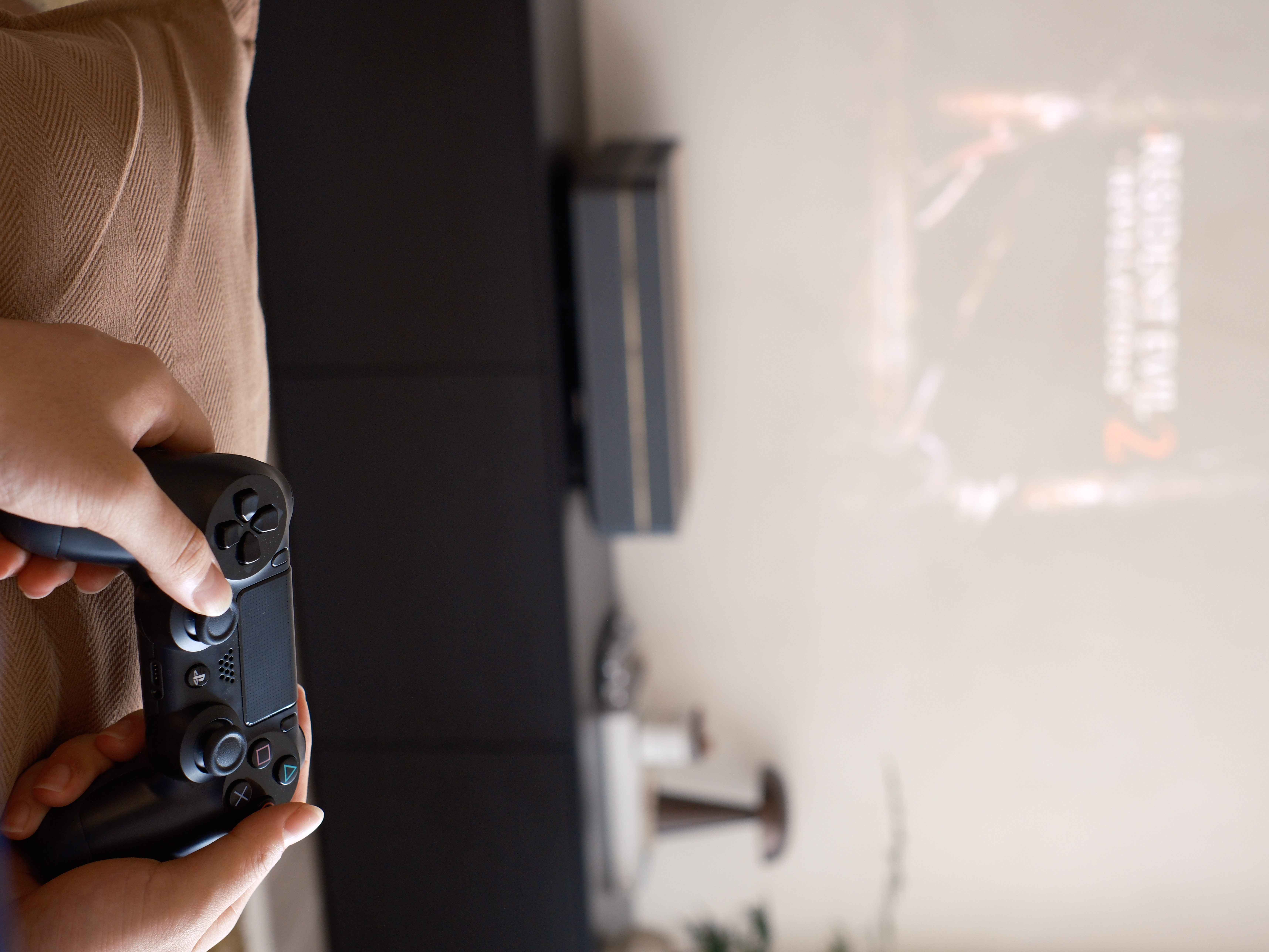 Why-We're-Obsessed-with-our-Projector:-The-Best-Home-Investment