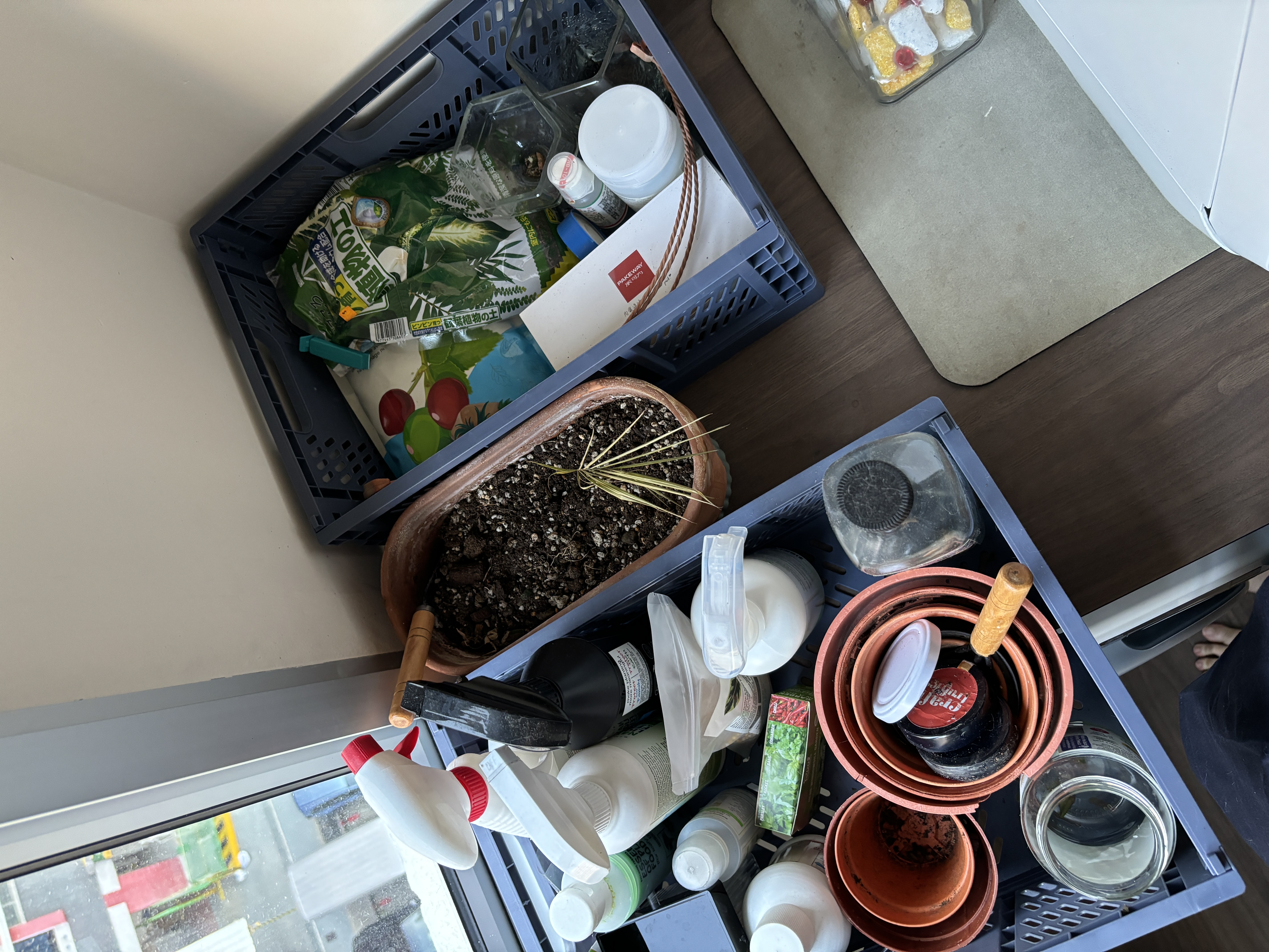 Organising Our Plant Care Corner - plastic crate, gardening supplies, plant pots, soil, gardening tools, plant, plant care