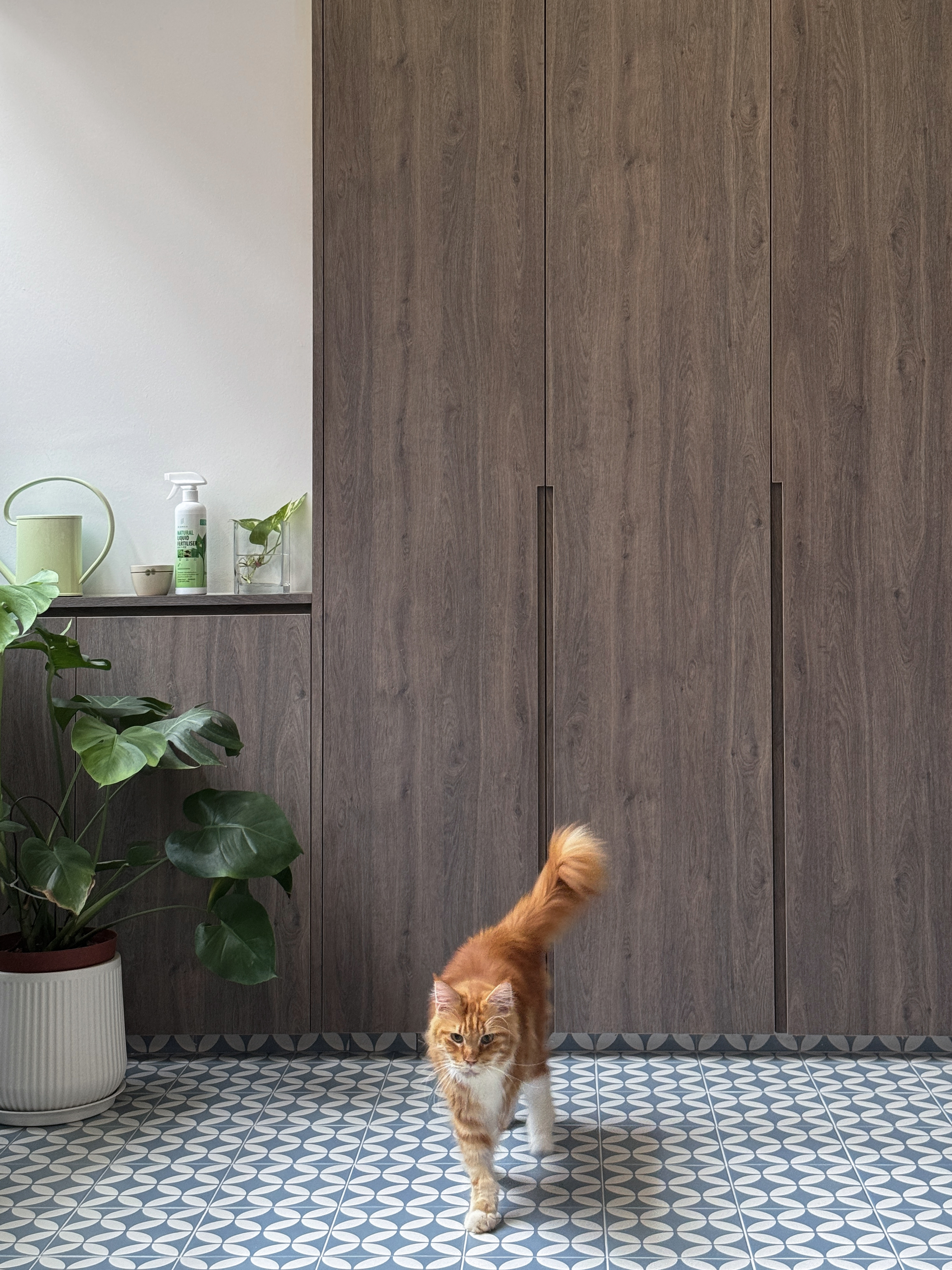 Café Vibes at Home in this Stunning High-Ceiling Balcony - Wooden cabinet, floor tiles, orange cat, indoor setting, natural