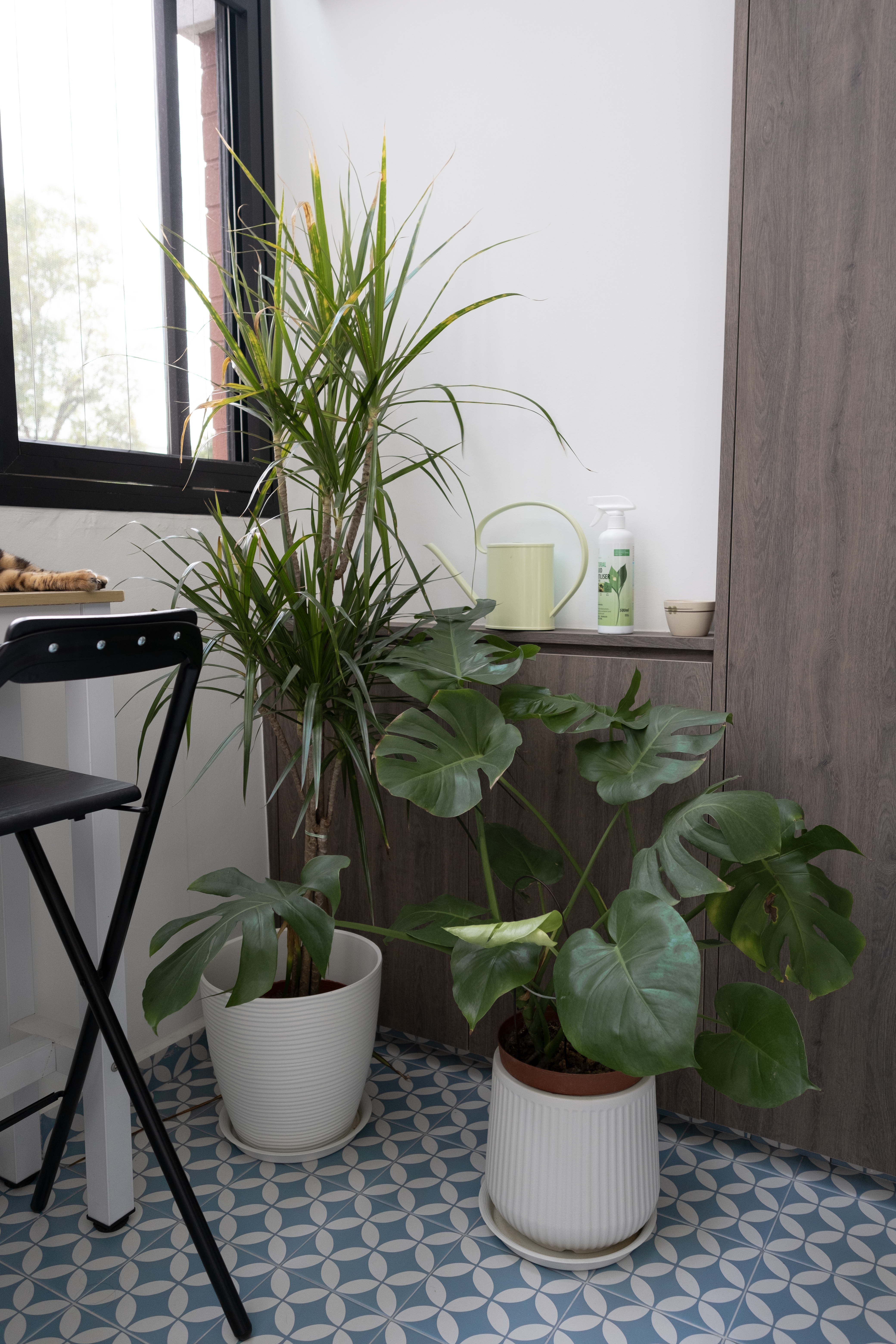 Café Vibes at Home in this Stunning High-Ceiling Balcony - Green potted plants, white and yellow watering can, spray bottle