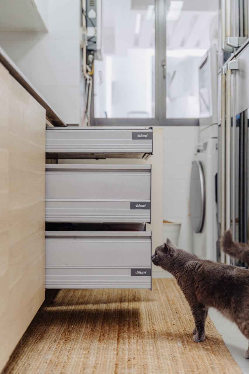 Tiny Kitchen Living: Organisation Tips To Live Mess Free - Sleek, modern kitchen with integrated storage drawers, Gray tabby
