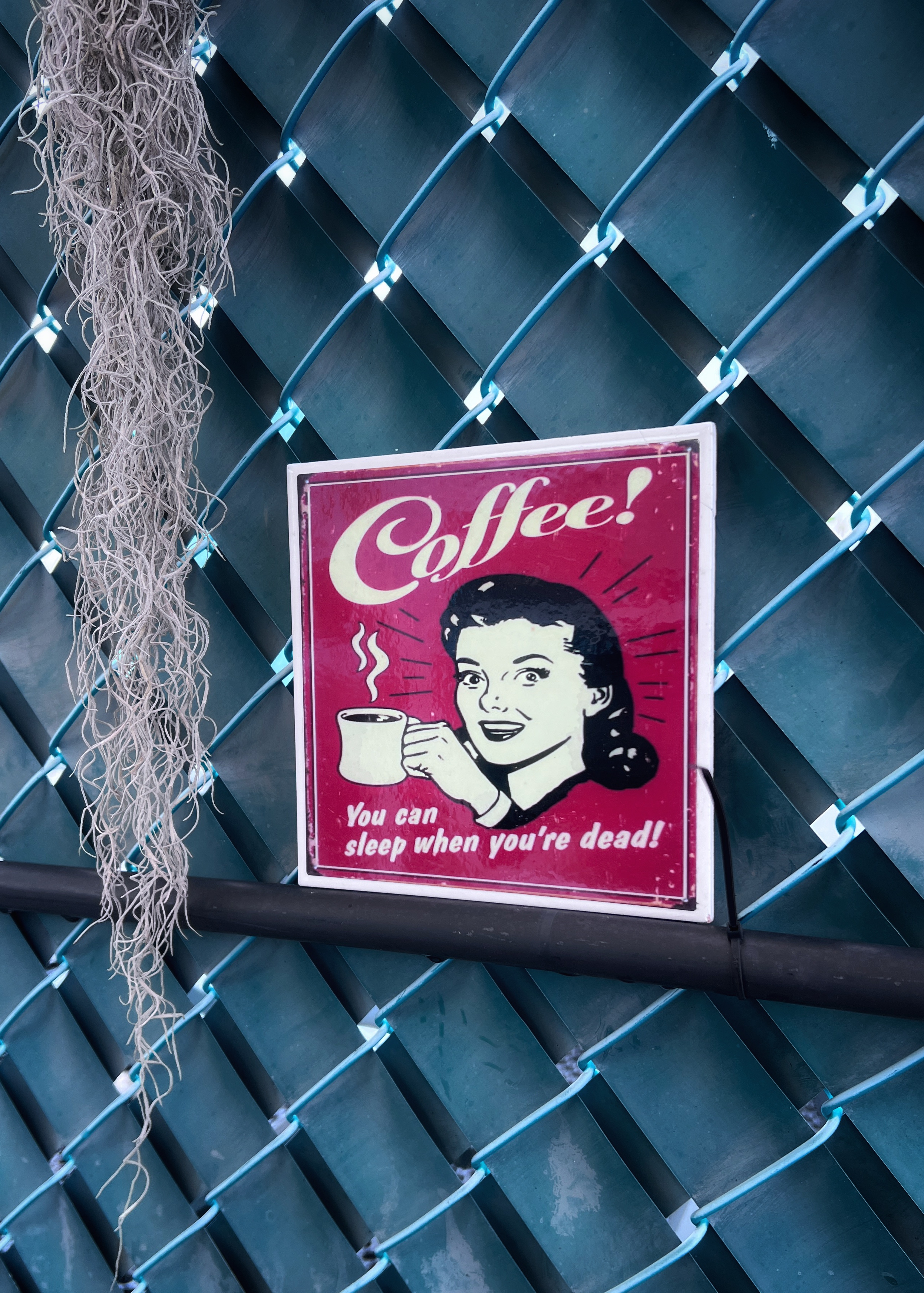 The-roof-is-on-FIRE!!-🔥🔥🔥