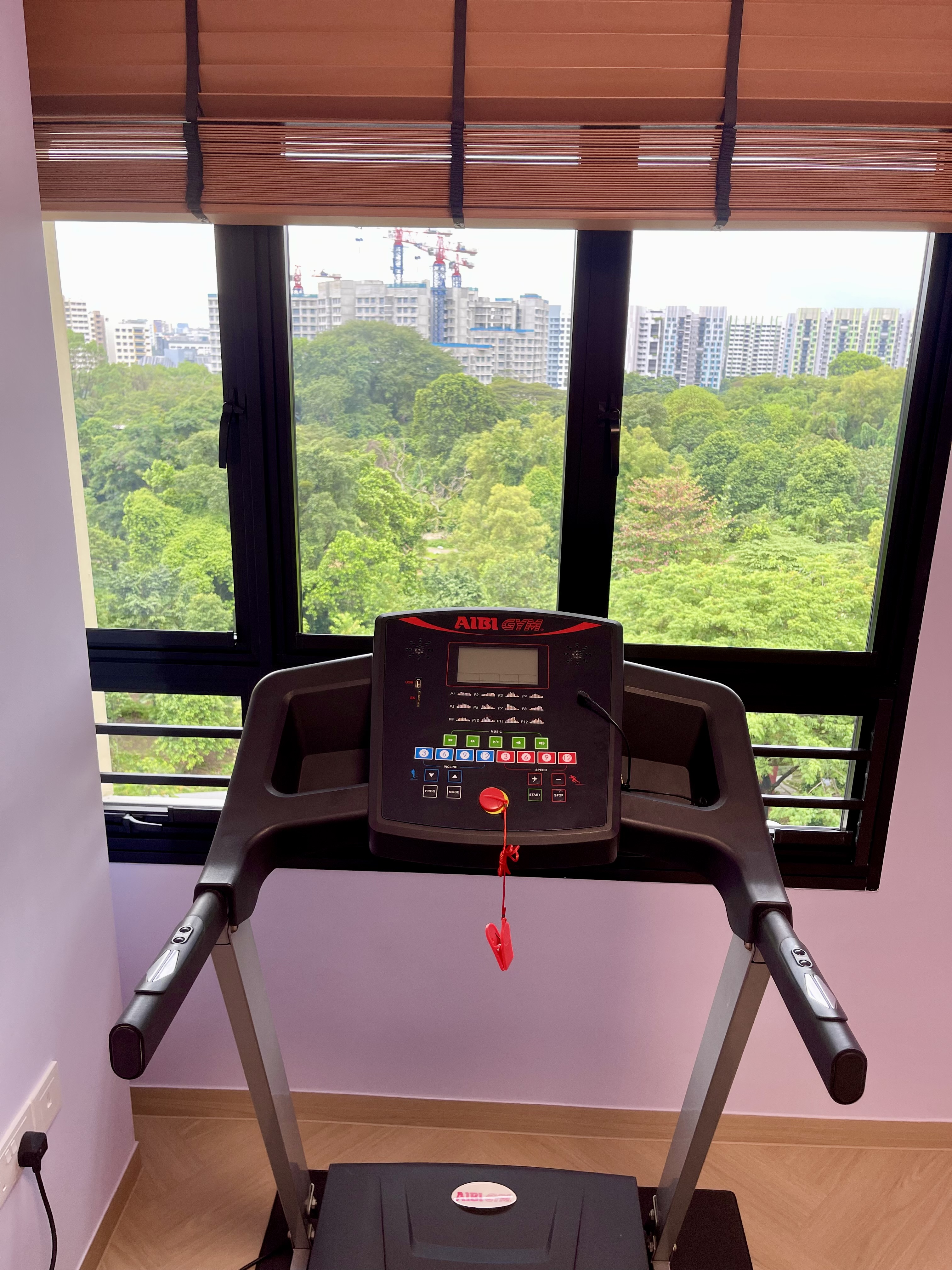 Our Workout Corner: Exercising With A Greenery View 🏃🏻‍♂️🏃🏻‍♀️🌳🌿 - window, exercise machine, indoor, treadmill, gym